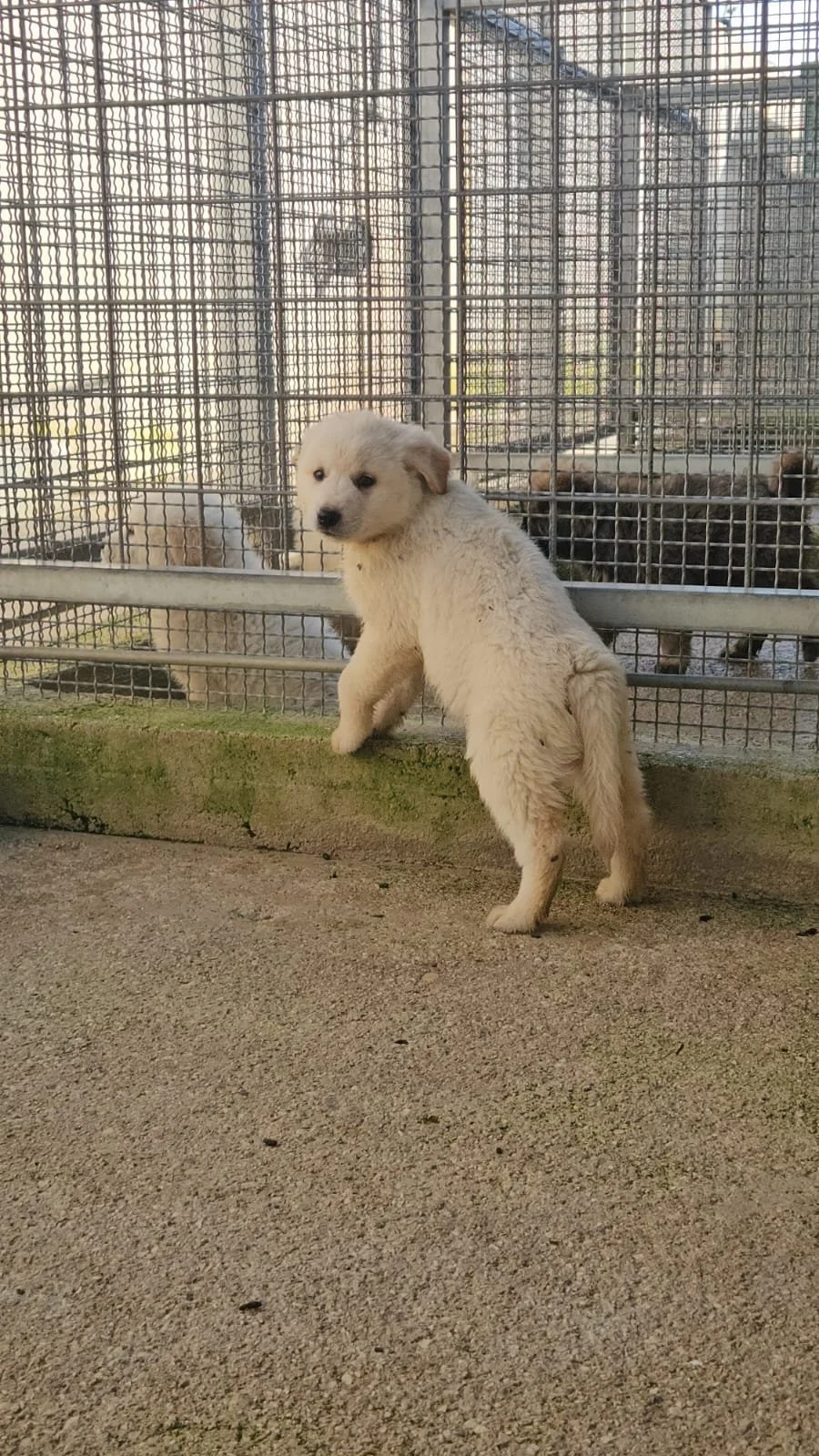 PHOTO-2025-12-10-12-30-13 3.jpg