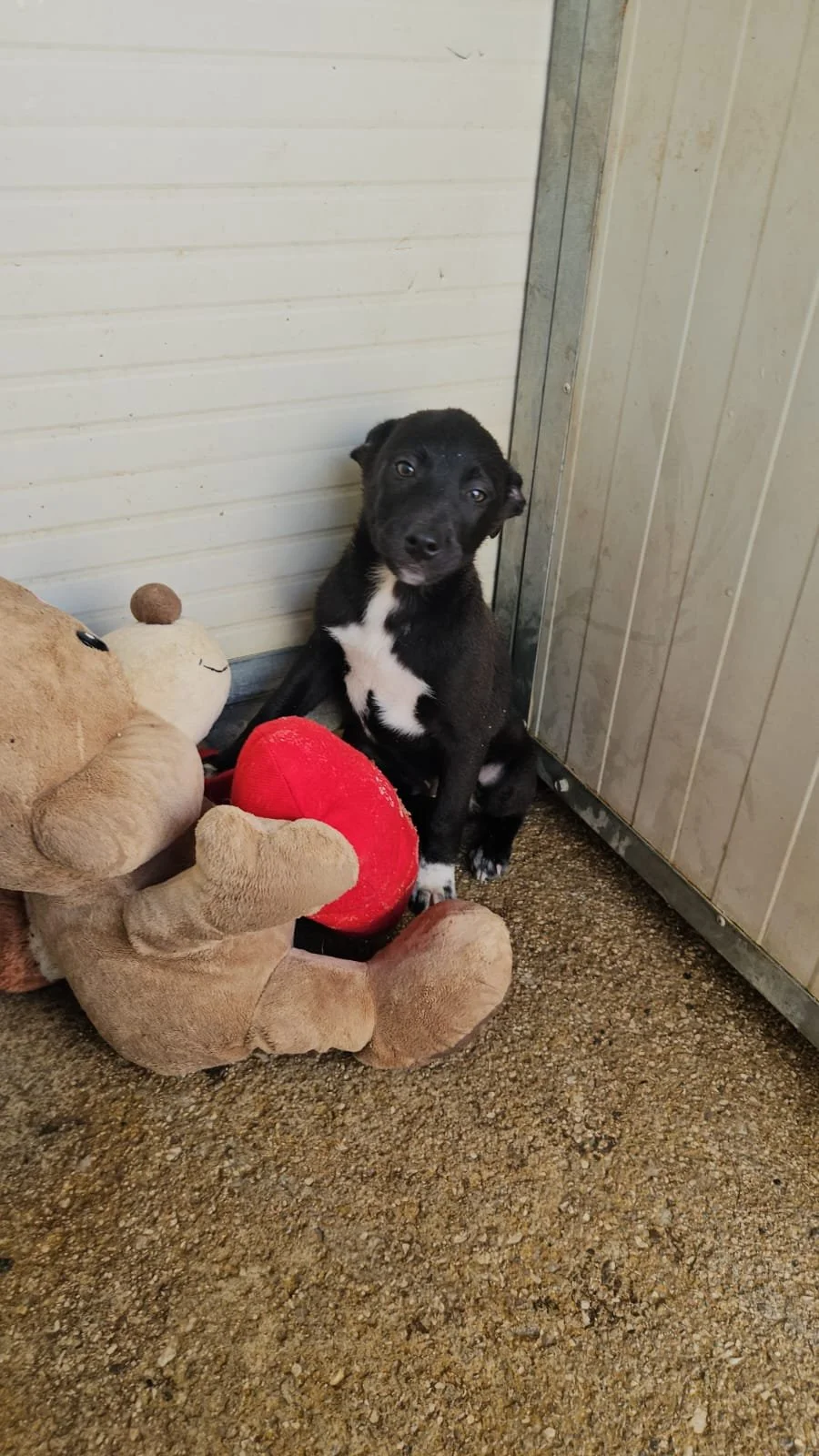 PHOTO-2026-03-21-10-22-32 2.jpg