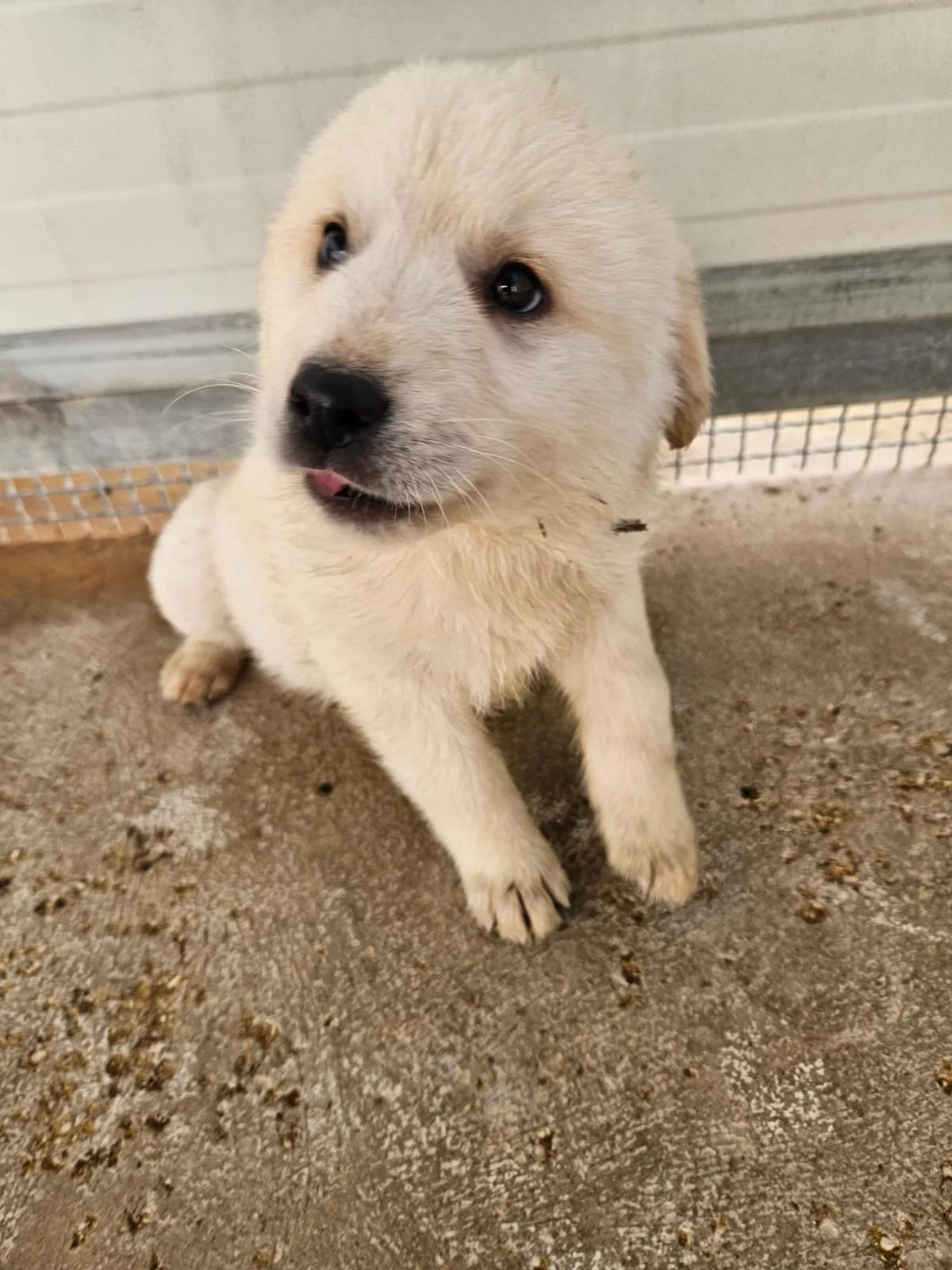 PHOTO-2025-12-10-12-30-11 2.jpg