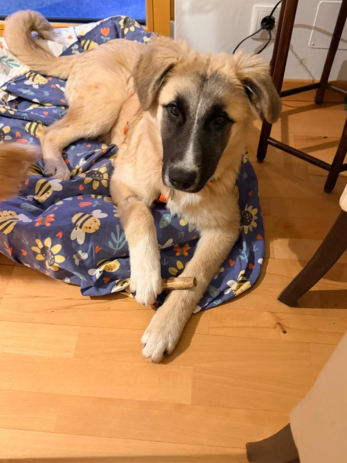 WhatsApp Image 2026-04-11 at 16.59.42 (1).jpeg