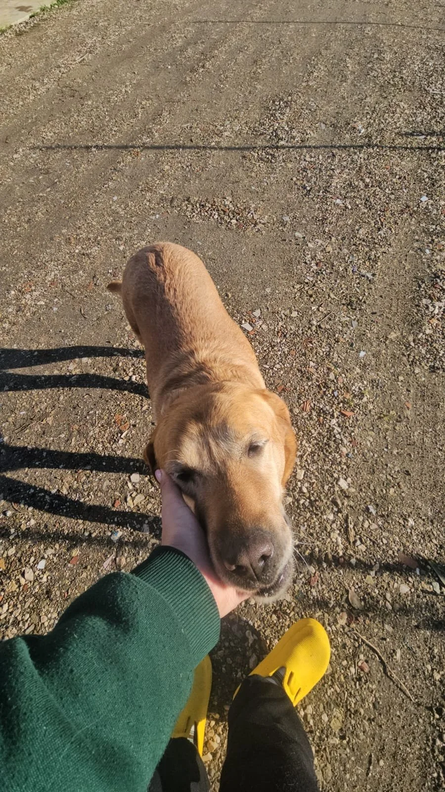 PHOTO-2026-02-03-11-53-48 4.jpg