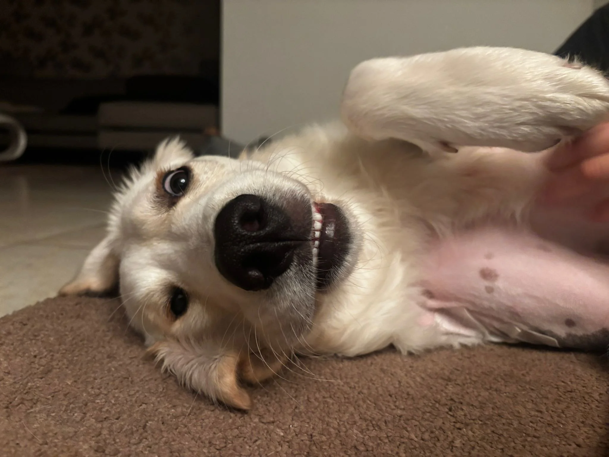 PHOTO-2025-12-15-09-53-57 2.jpg