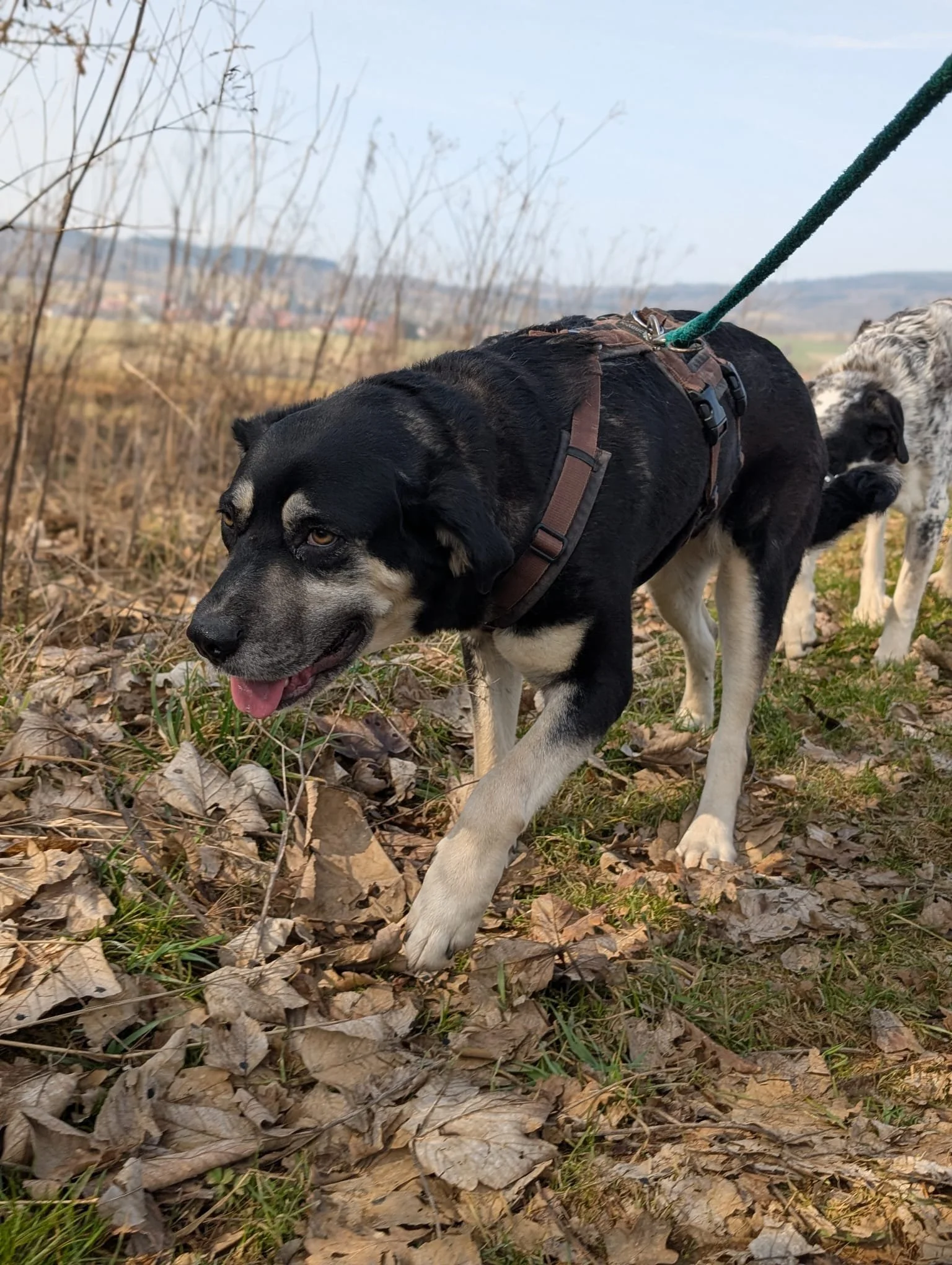 PHOTO-2026-04-14-09-44-12 4.jpg