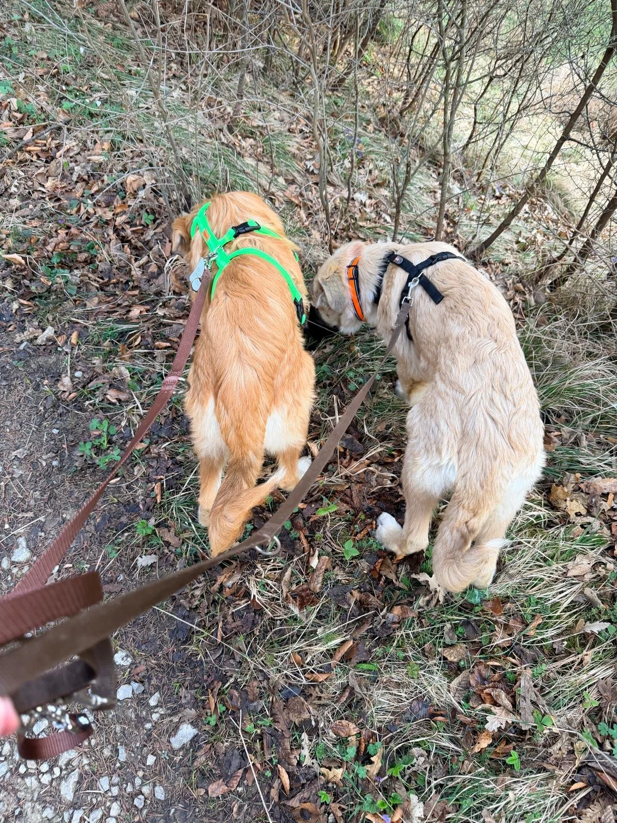 PHOTO-2026-03-21-17-25-27 3.jpg