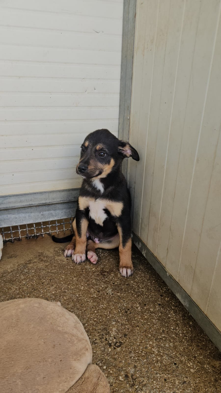 PHOTO-2026-03-21-10-22-19 3.jpg