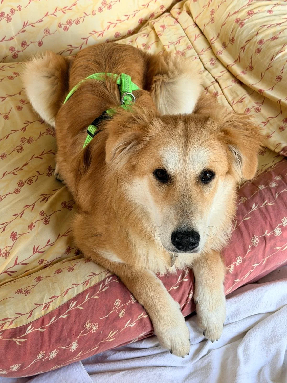 WhatsApp Image 2026-04-11 at 15.19.22.jpeg