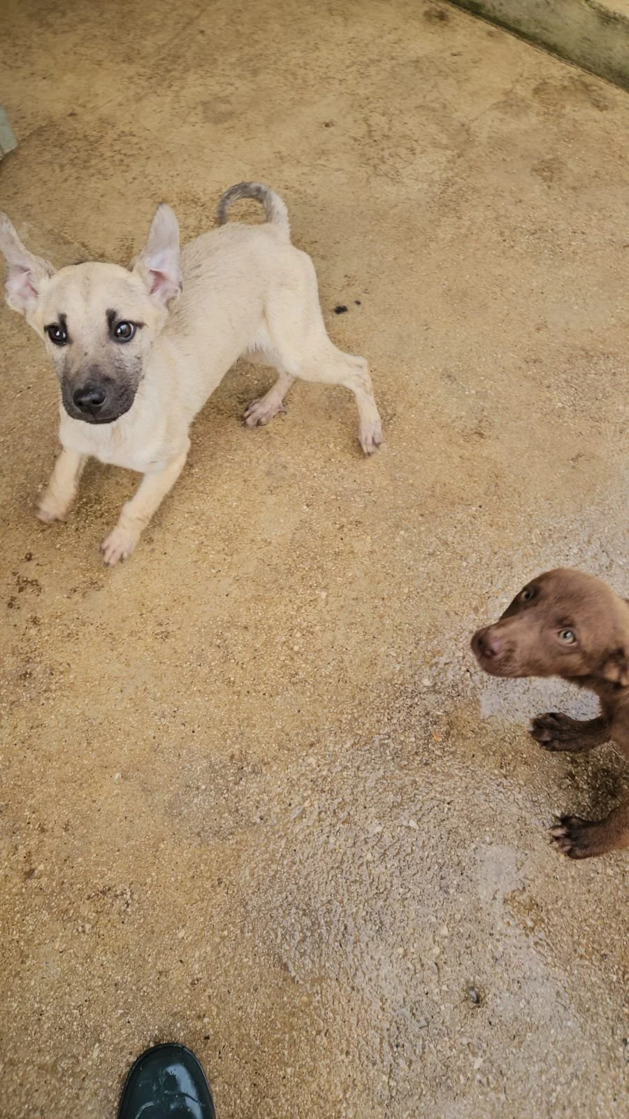 PHOTO-2026-04-09-09-42-43 2.jpg