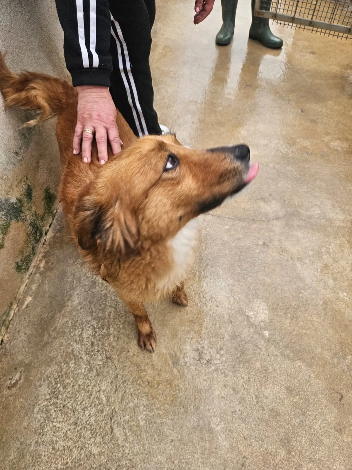 PHOTO-2026-04-14-08-29-17 4.jpg