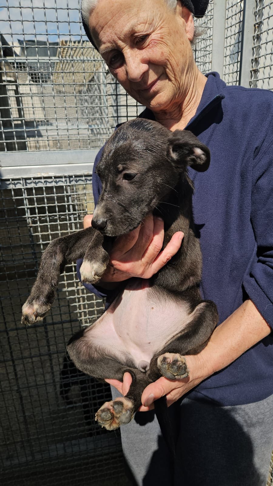 PHOTO-2026-03-20-12-46-02 3.jpg