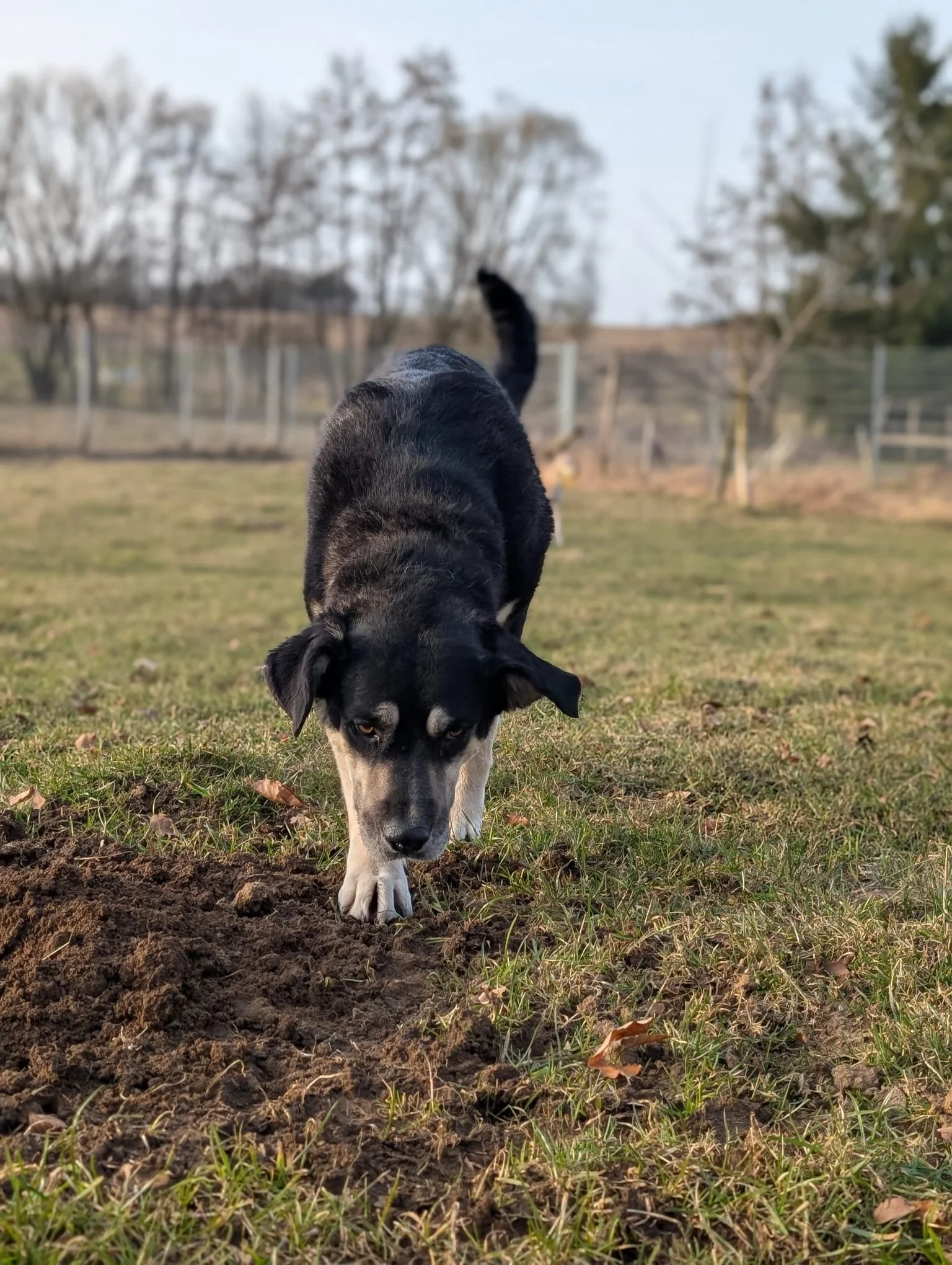 PHOTO-2026-04-14-09-43-35 2.jpg