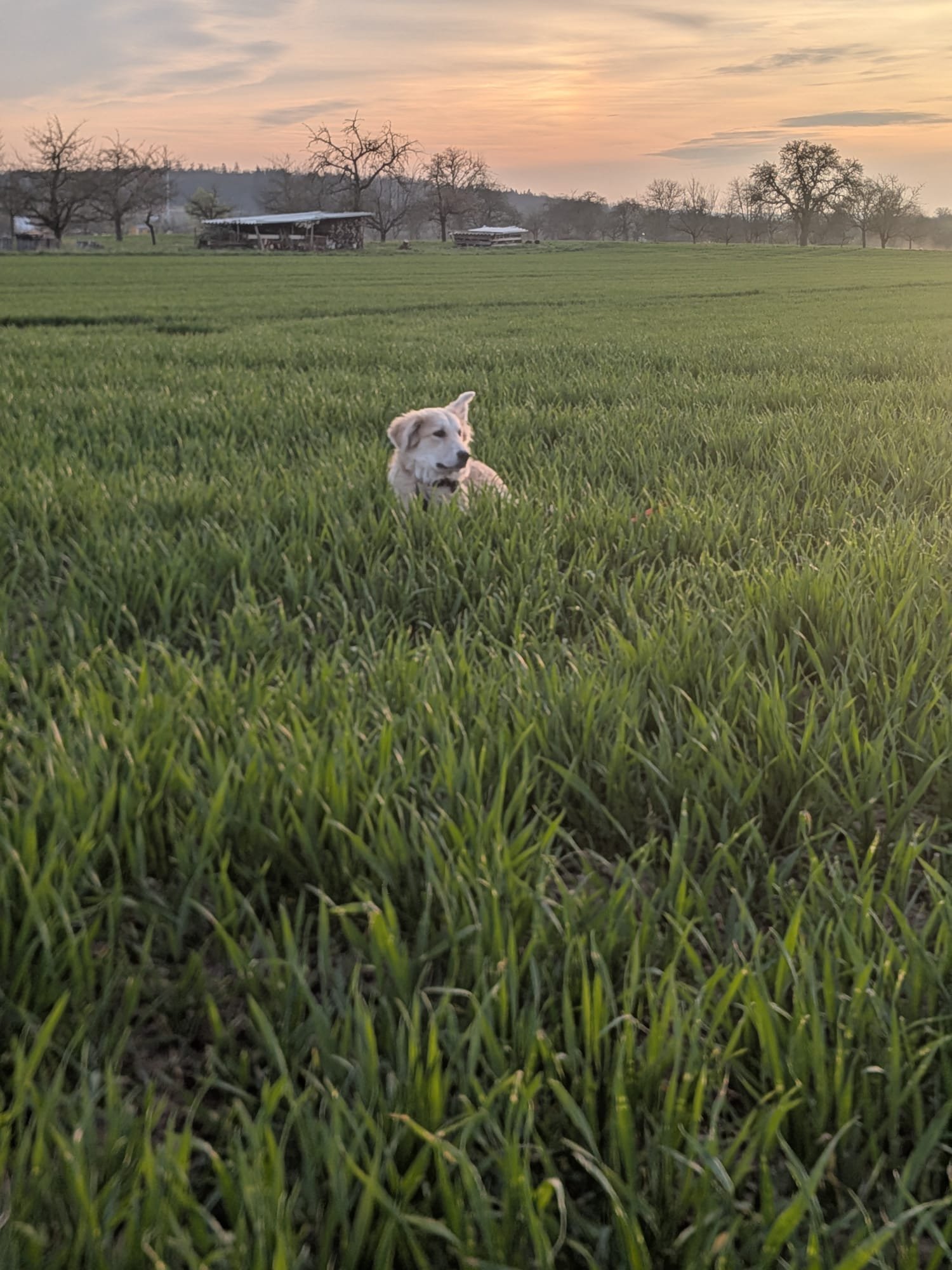 PHOTO-2026-03-24-22-11-55 3.jpg