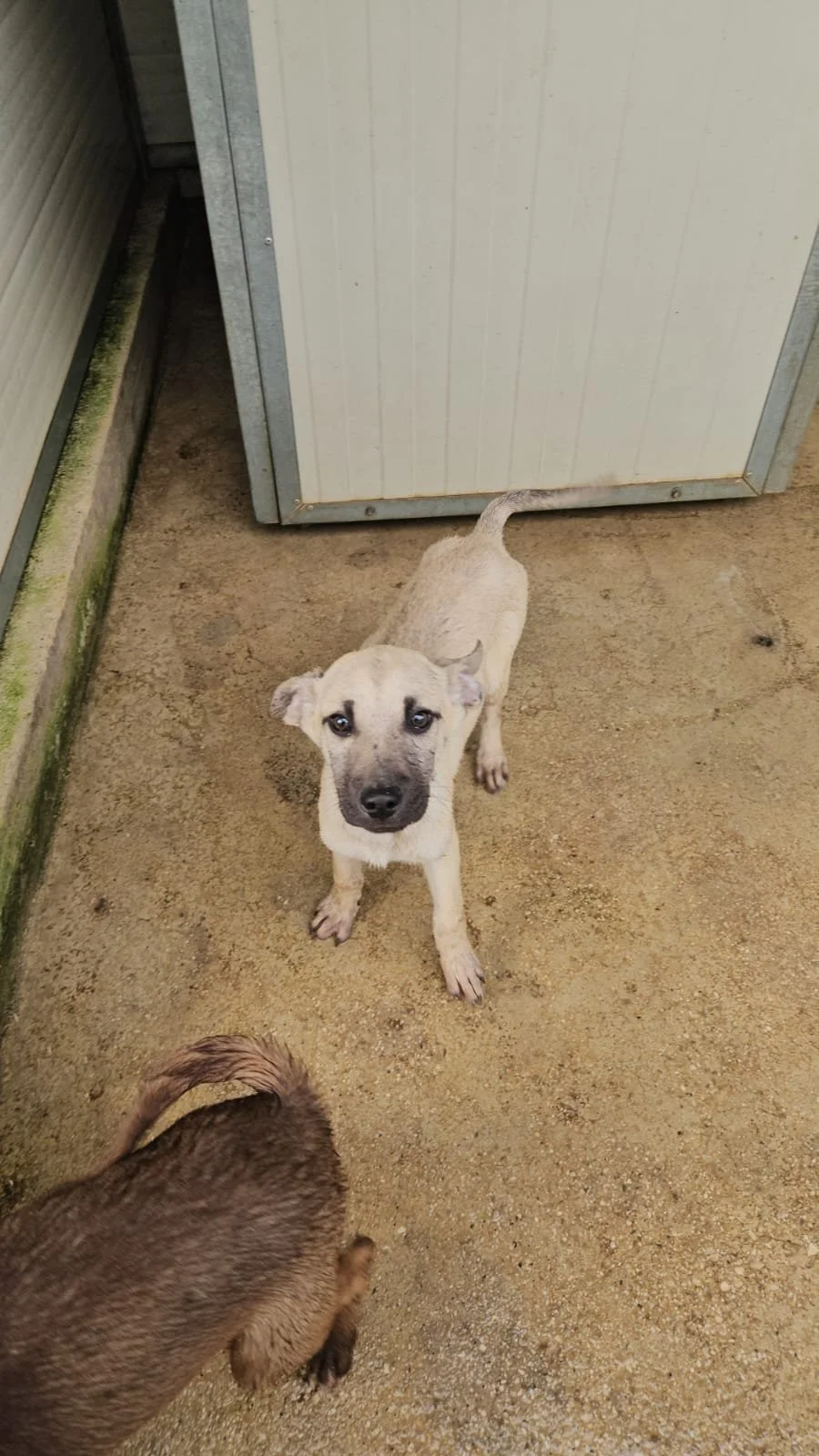 PHOTO-2026-04-09-09-42-43 4.jpg