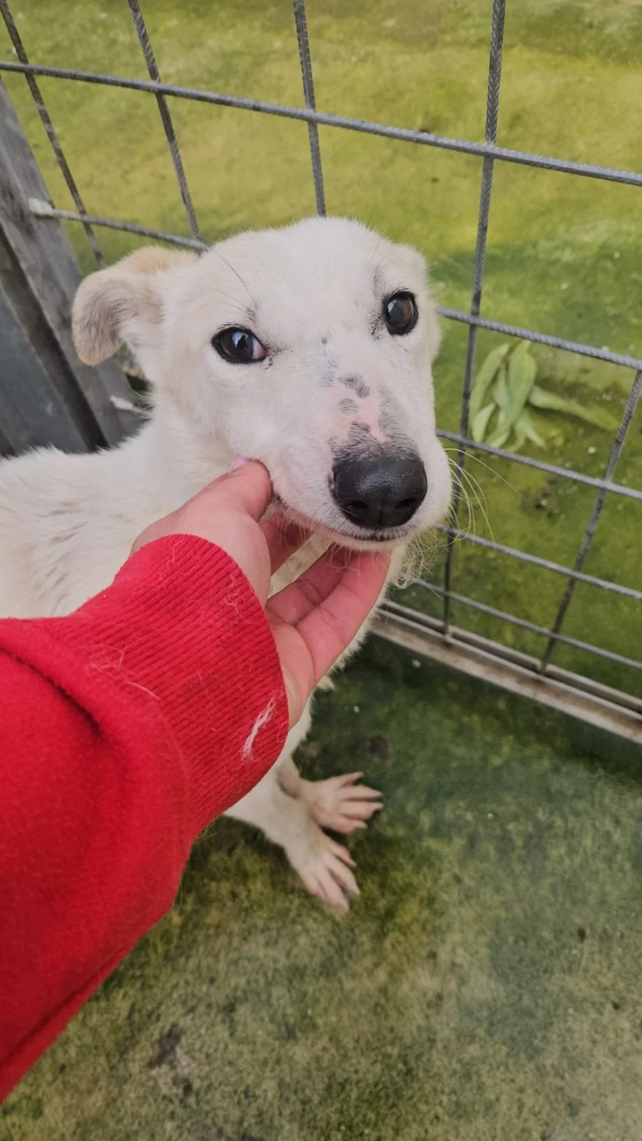 PHOTO-2026-01-22-10-12-14 2.jpg