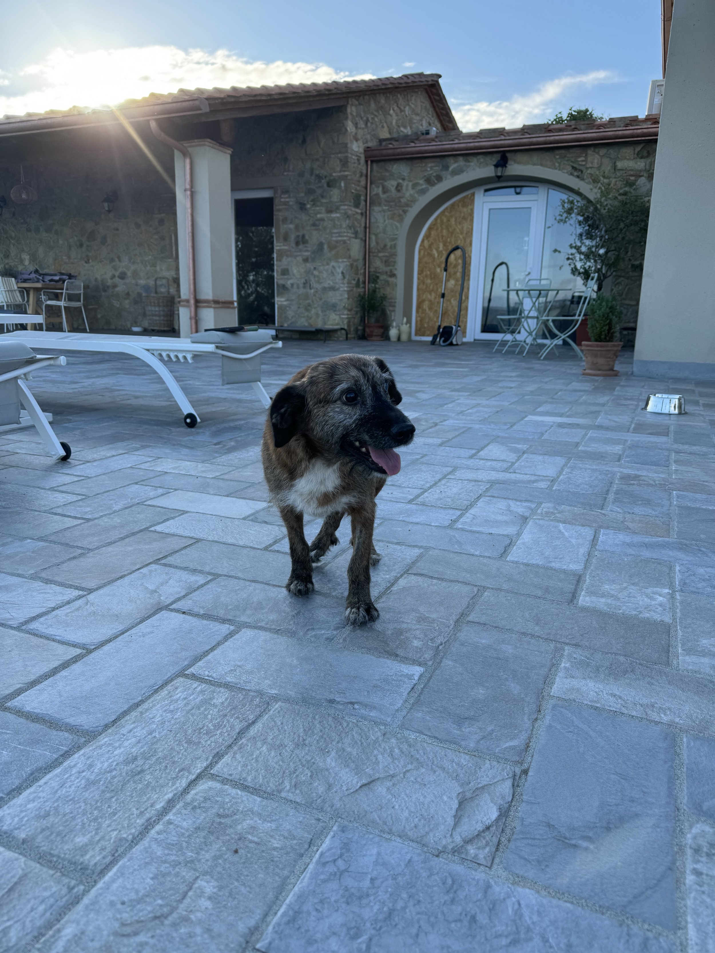 IMG_1063.jpeg