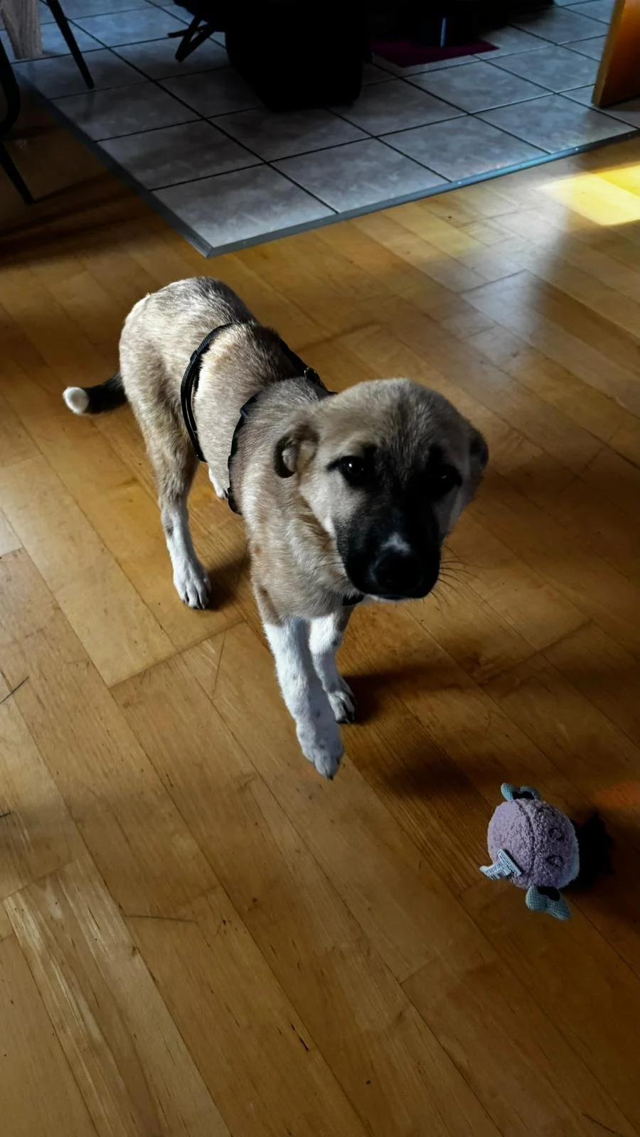 PHOTO-2026-03-14-10-29-06 4.jpg