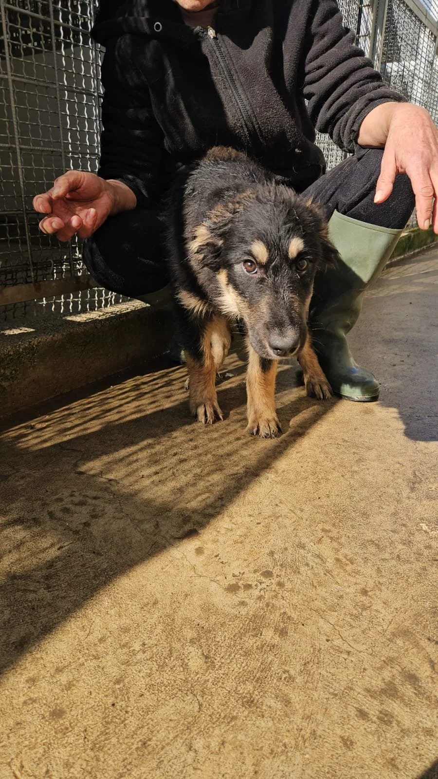 PHOTO-2026-02-02-12-38-34 2.jpg