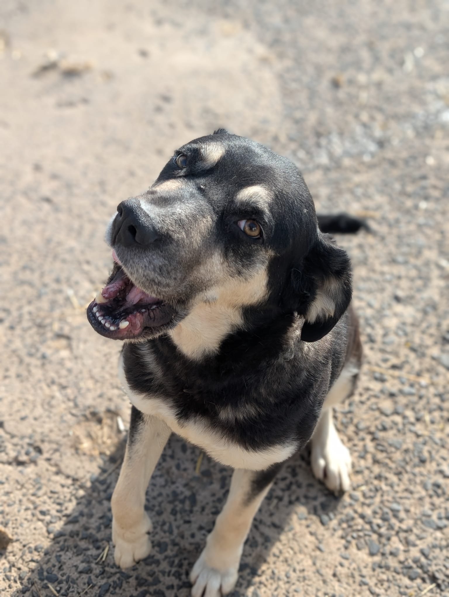 PHOTO-2026-04-14-09-43-36 2.jpg