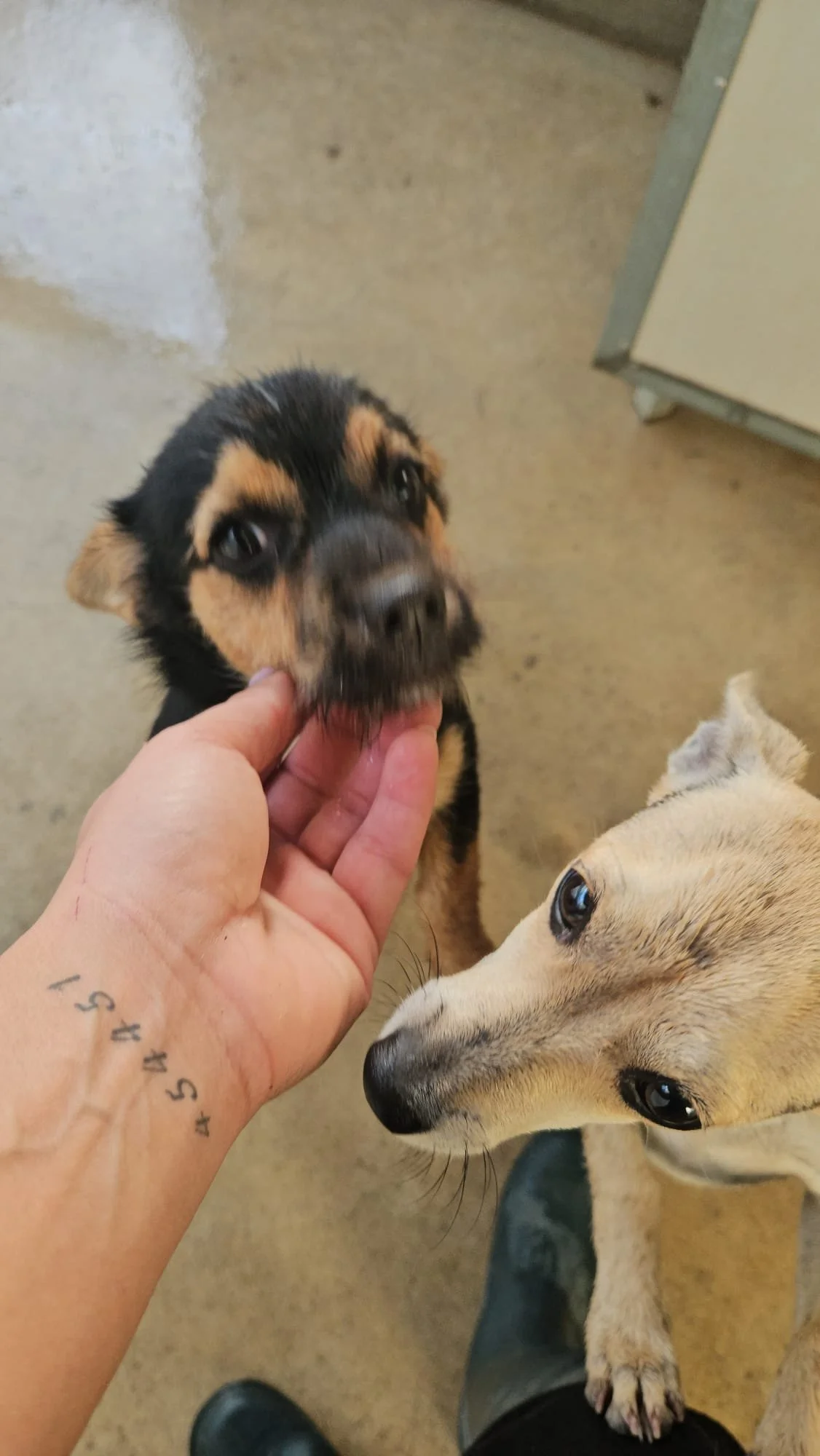 3916fe49-0316-41d4-b69c-026073895bc4.jpg