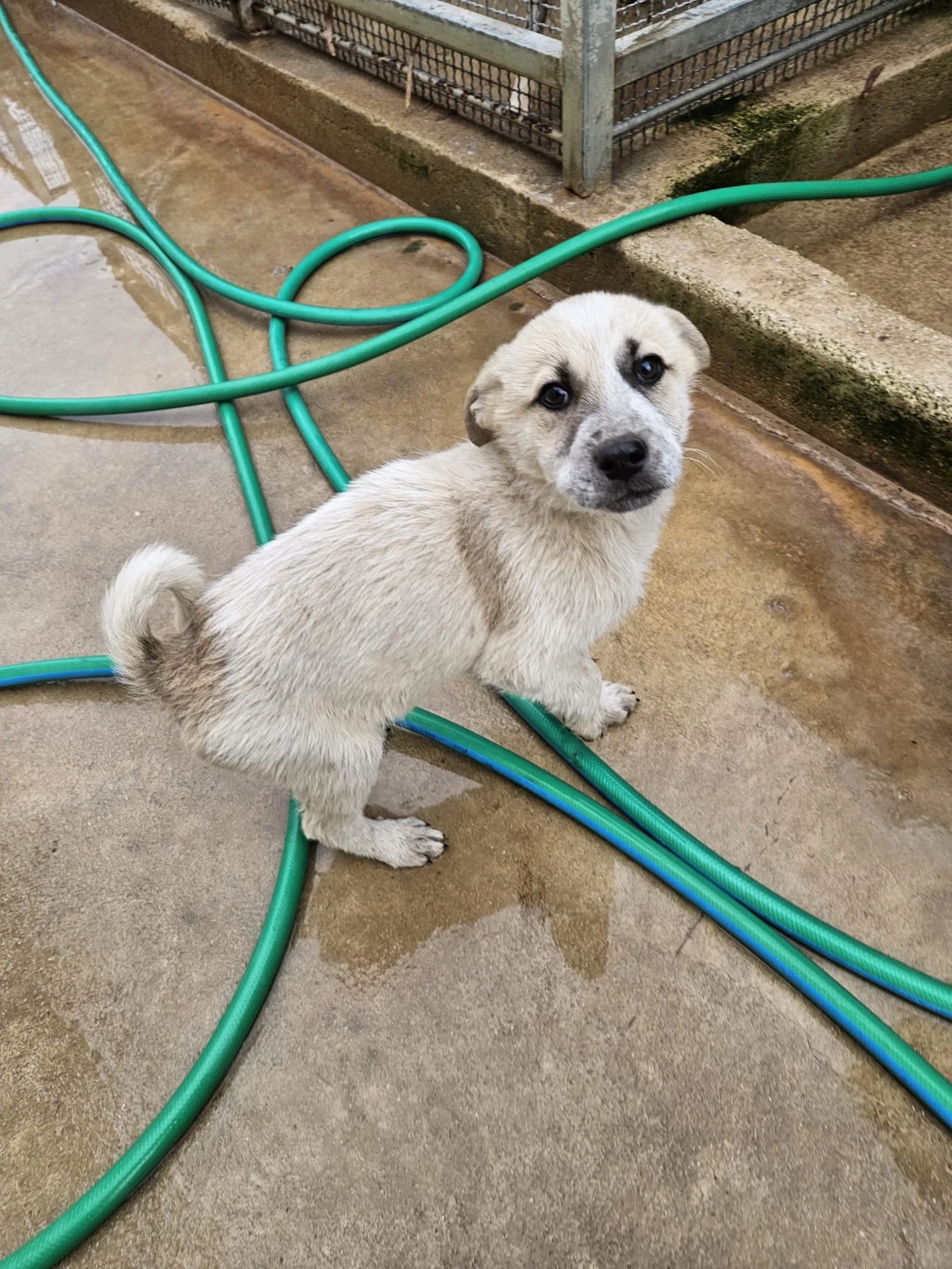 PHOTO-2026-01-20-09-40-34 2.jpg