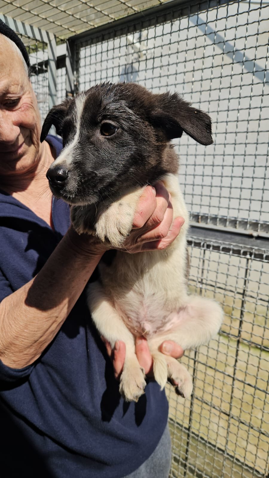 PHOTO-2026-03-20-12-47-38 2.jpg