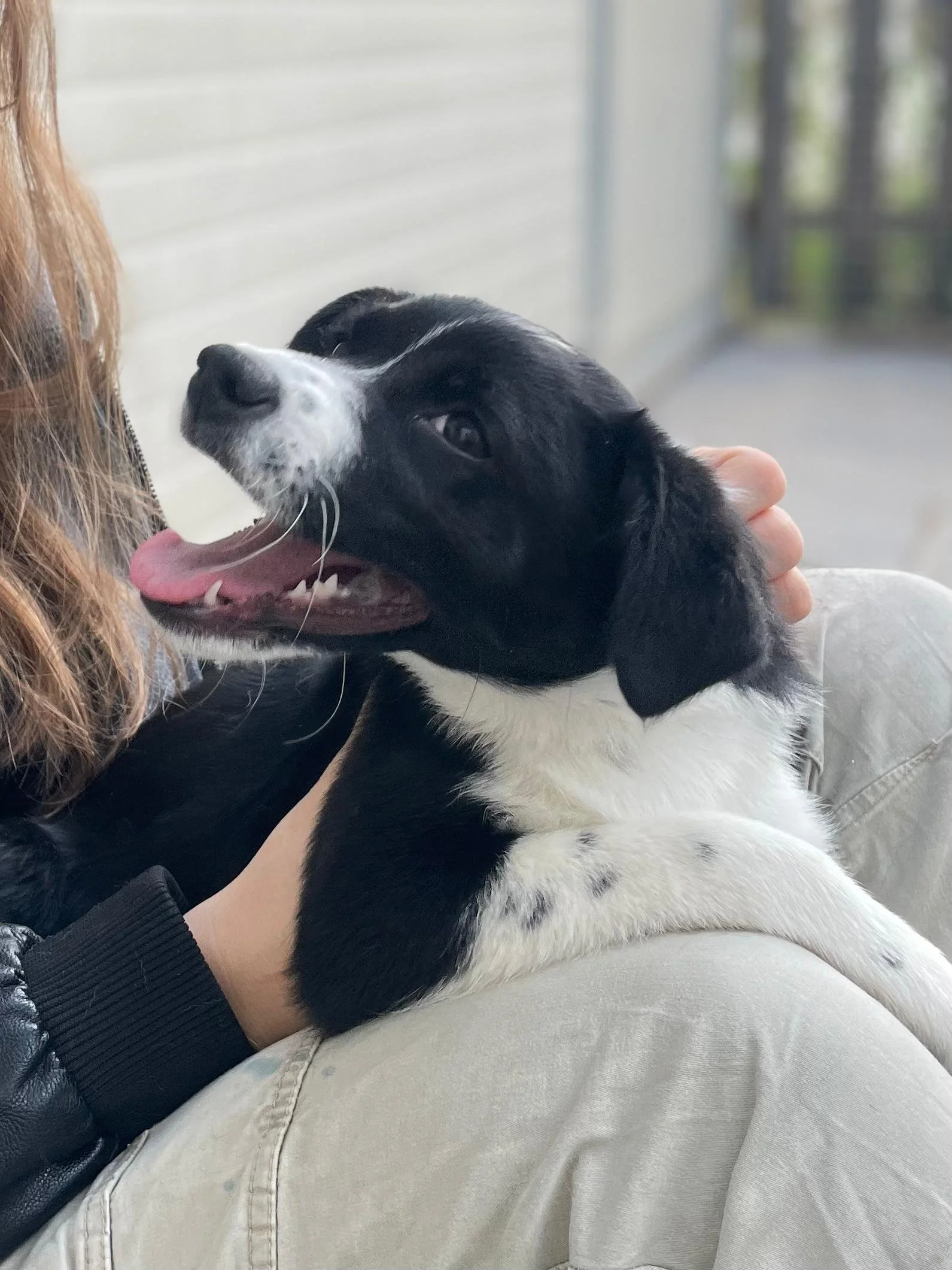 PHOTO-2026-03-11-14-45-35 2.jpg