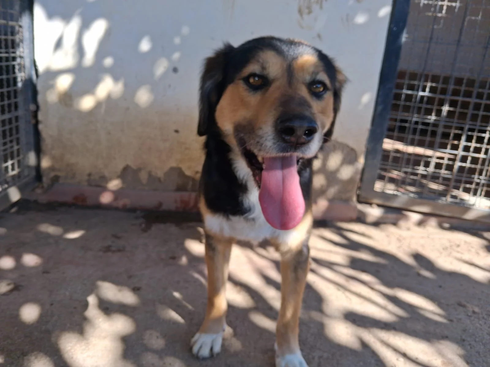 WhatsApp Image 2026-03-19 at 09.53.02.jpeg