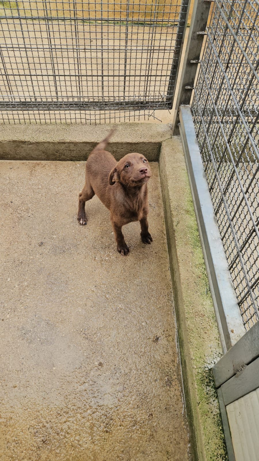 PHOTO-2026-04-09-09-43-30 3.jpg