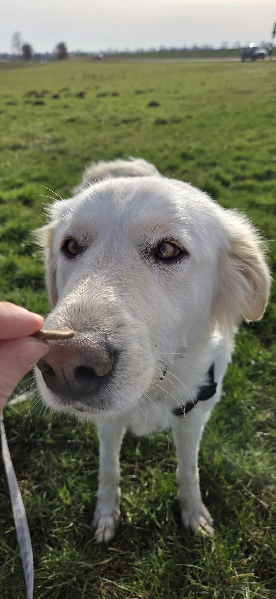 WhatsApp Image 2026-04-08 at 14.38.17 (2).jpeg