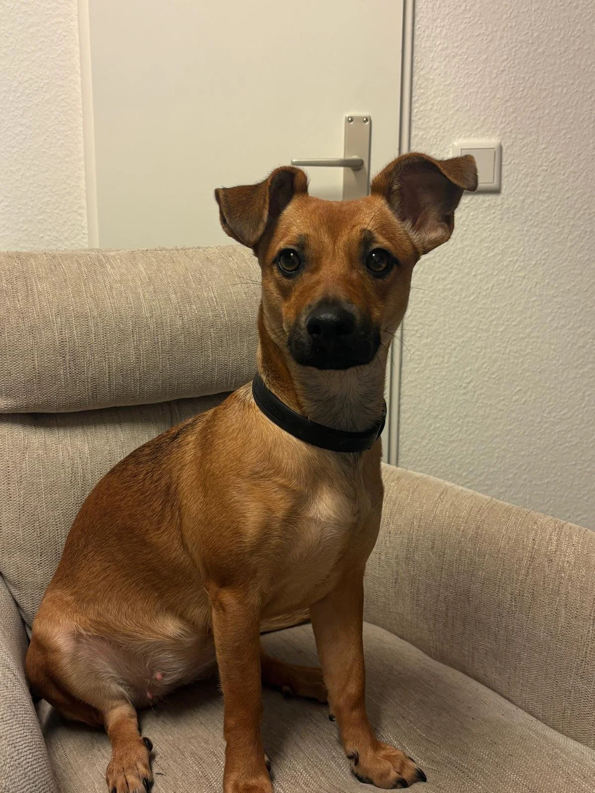 WhatsApp Image 2026-01-31 at 11.39.02.jpeg