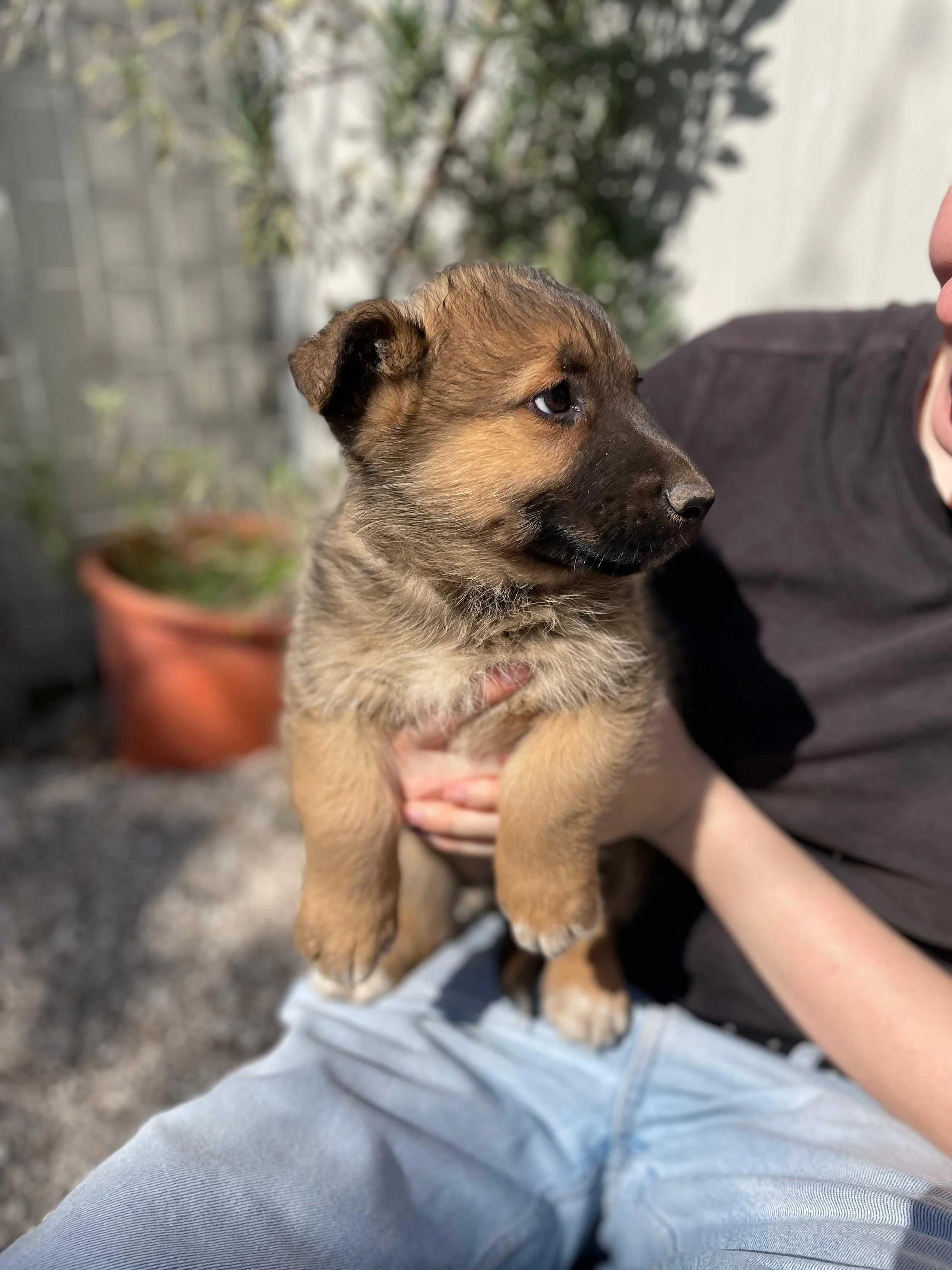 PHOTO-2026-03-11-14-15-26 2.jpg