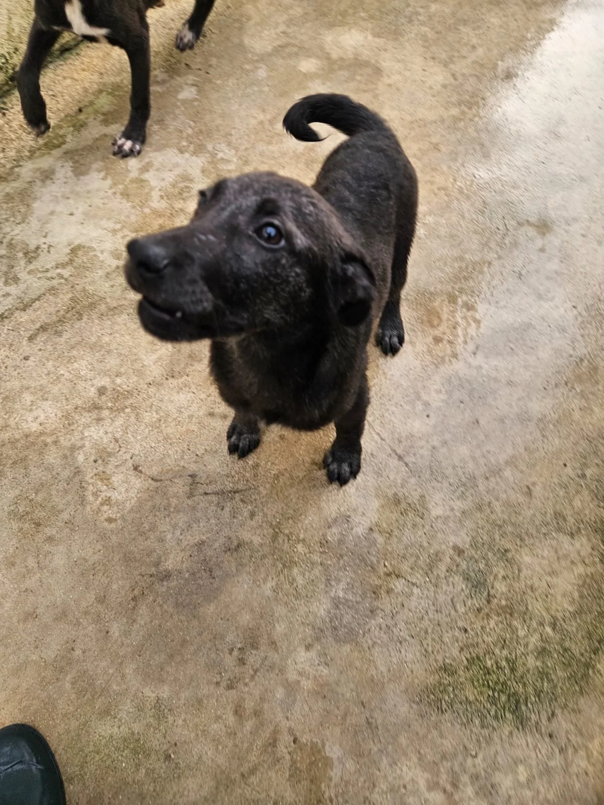 PHOTO-2026-04-09-09-31-21 2.jpg