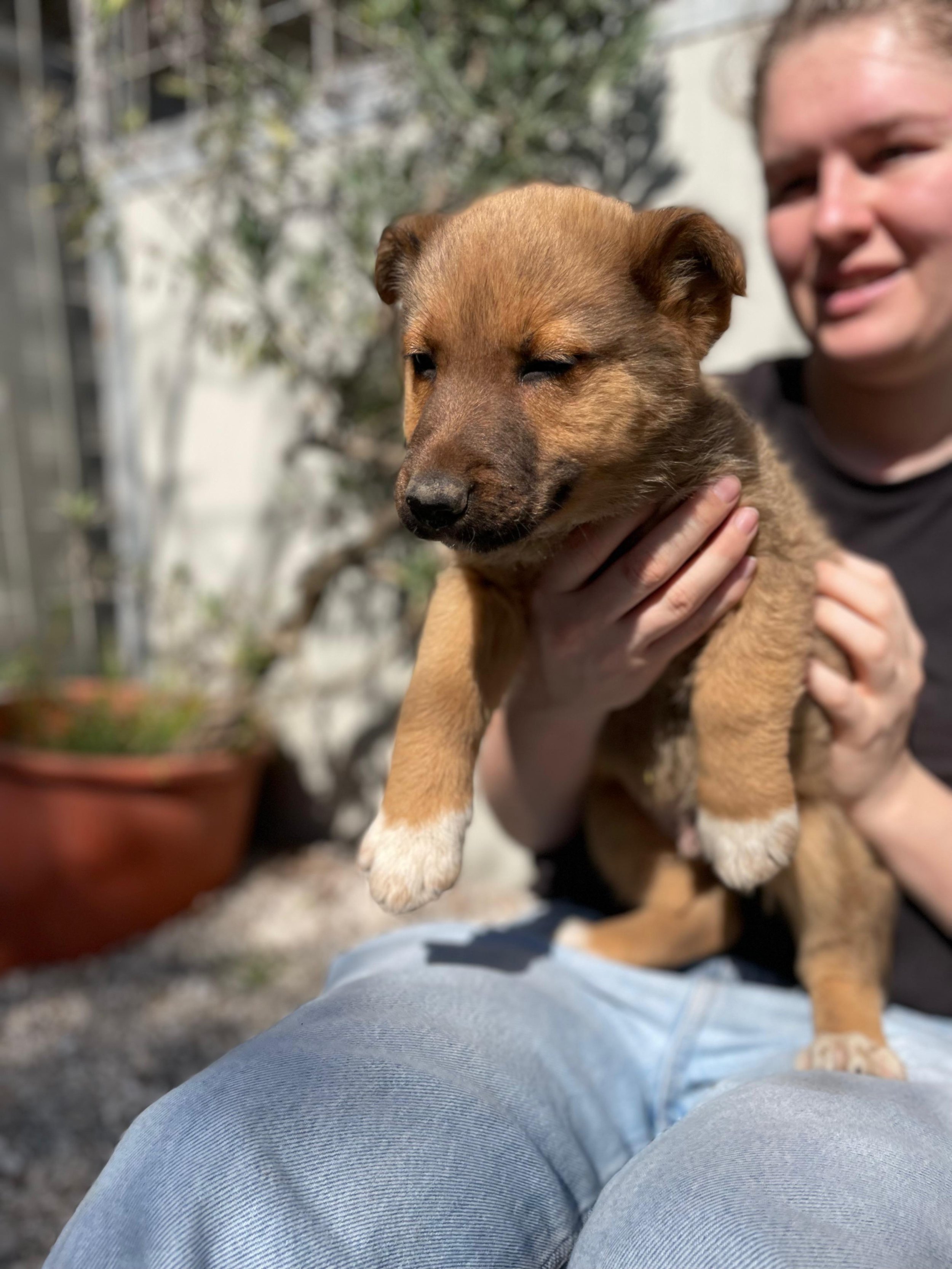 PHOTO-2026-03-11-14-15-58 3.jpg