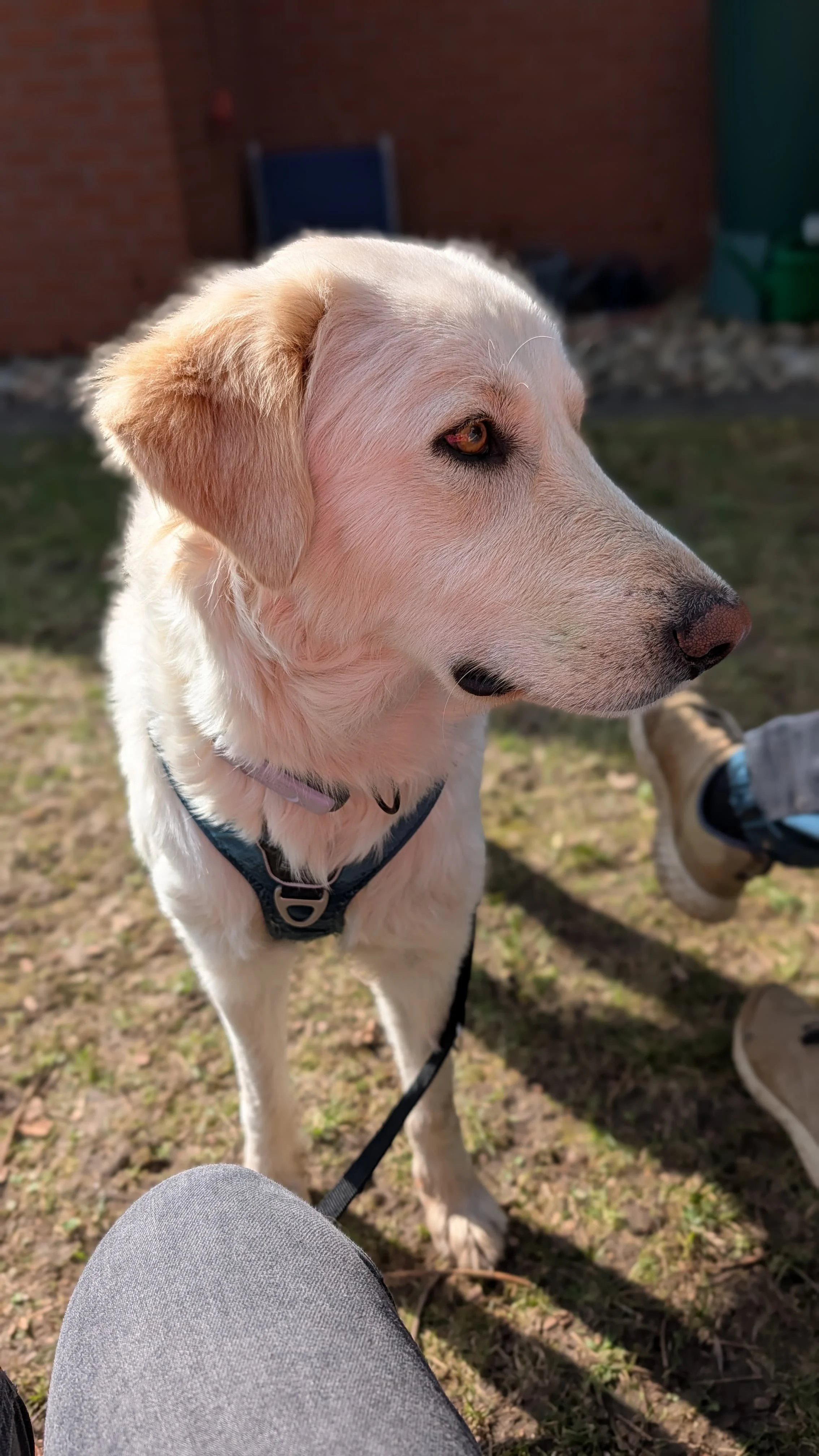 WhatsApp Image 2026-04-08 at 14.38.17.jpeg