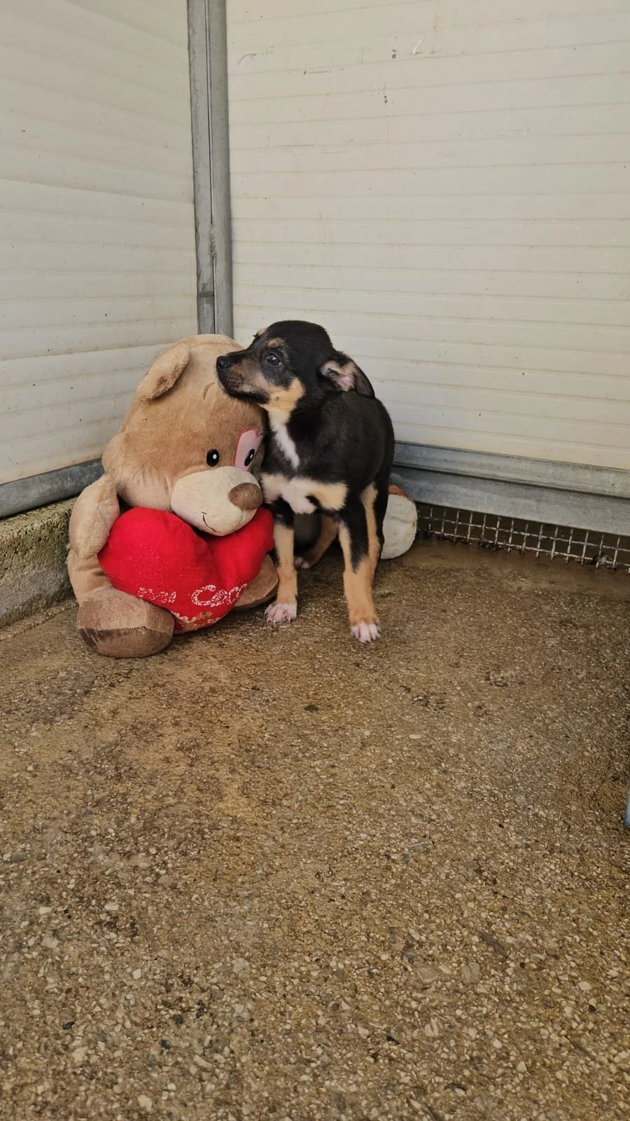 PHOTO-2026-03-21-10-22-21 4.jpg