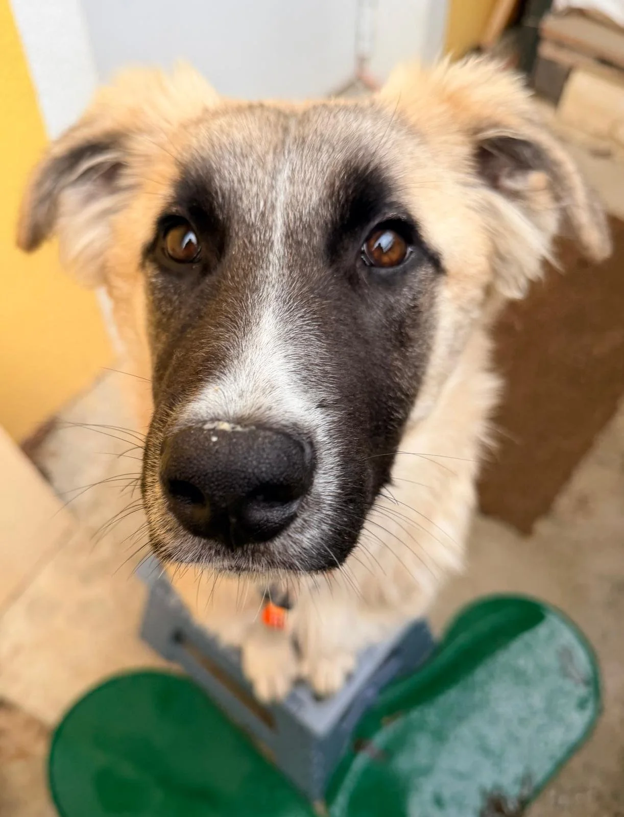 WhatsApp Image 2026-04-11 at 16.59.42 (3).jpeg