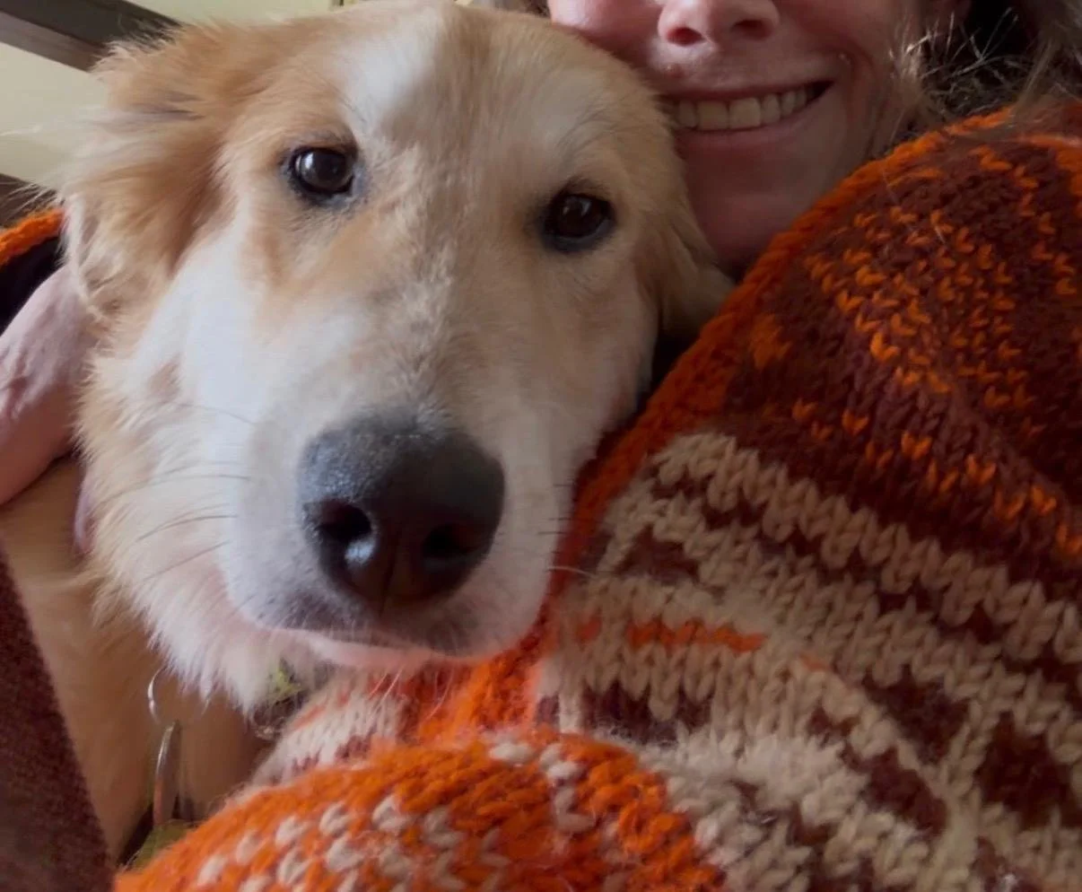 WhatsApp Image 2026-04-11 at 15.19.21 (1).jpeg