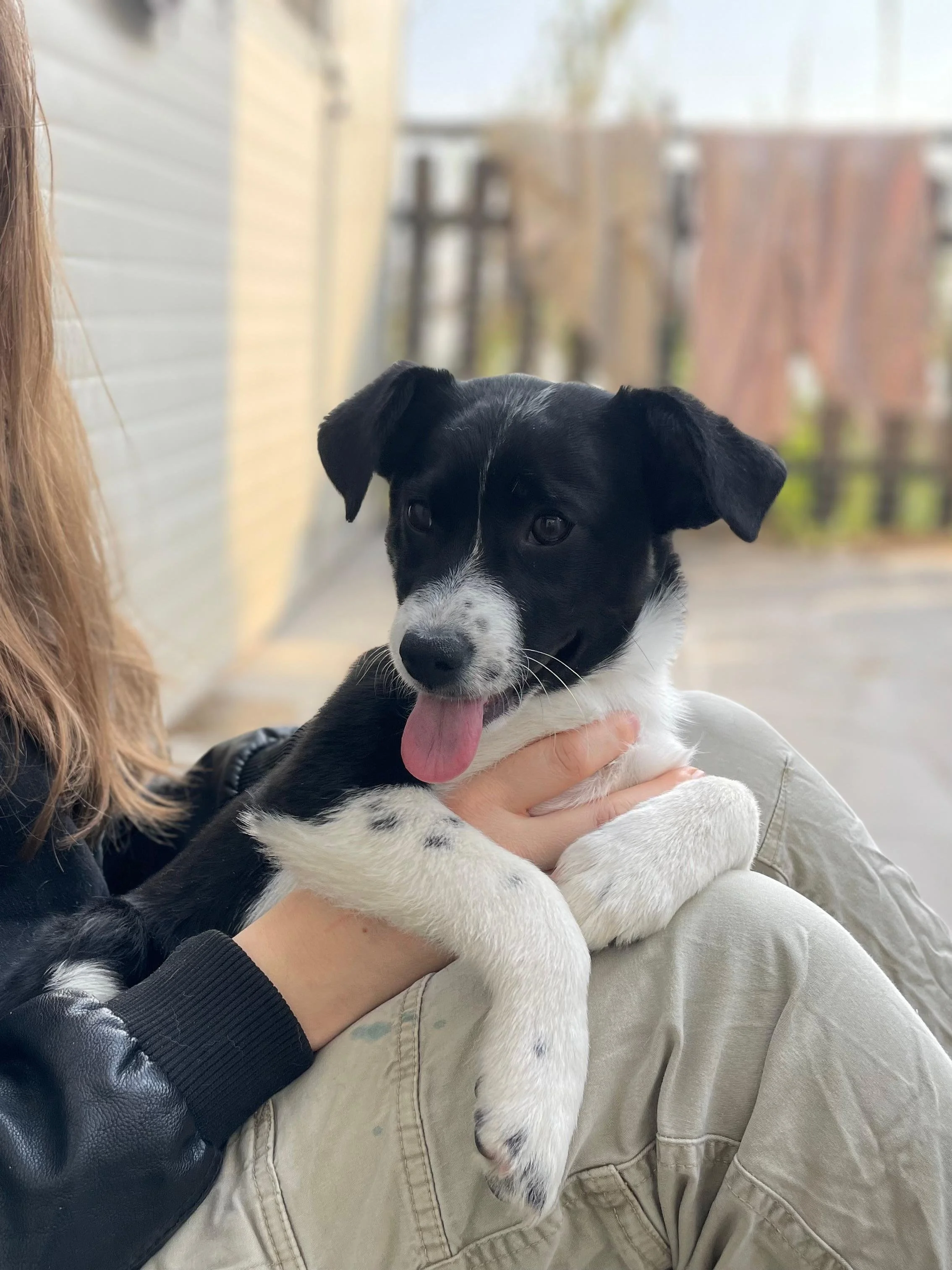 PHOTO-2026-03-11-14-45-34 5.jpg