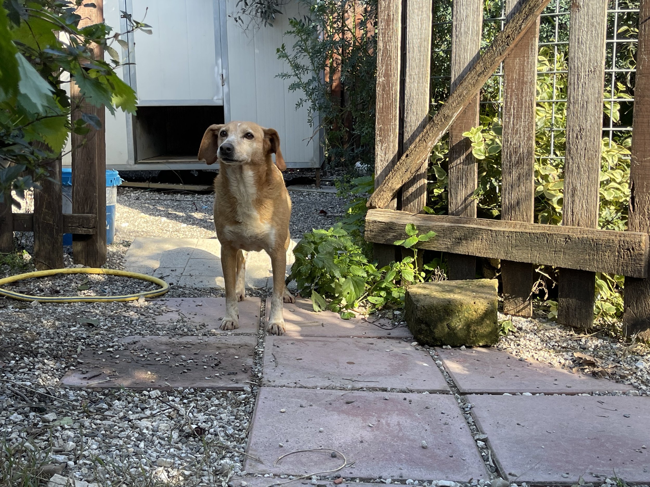 IMG_0043.jpeg