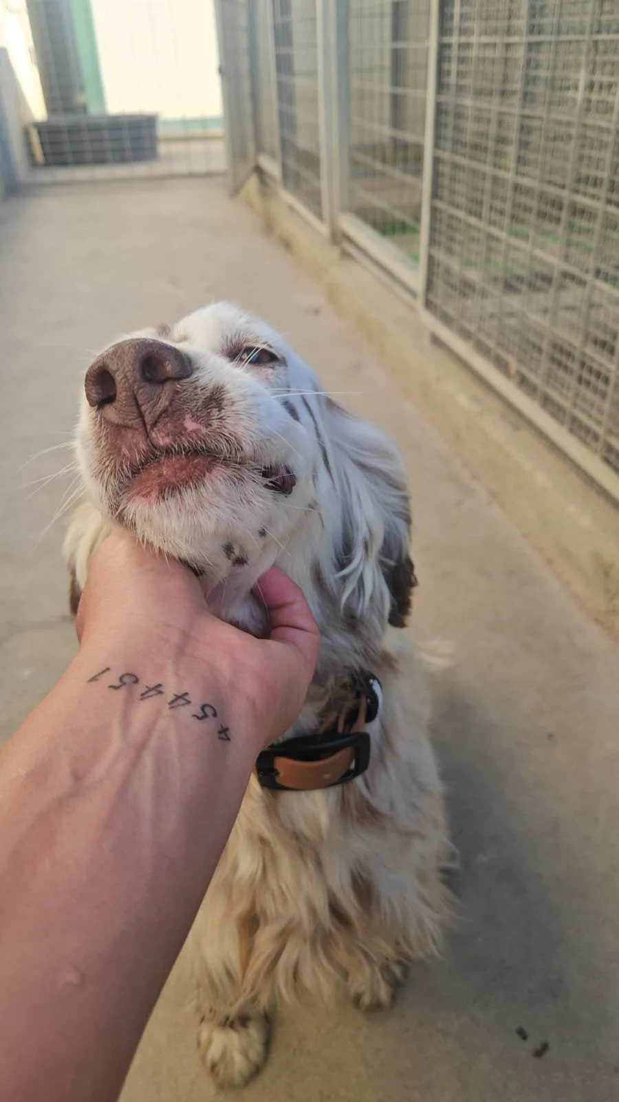 PHOTO-2026-04-27-18-32-13 4.jpg