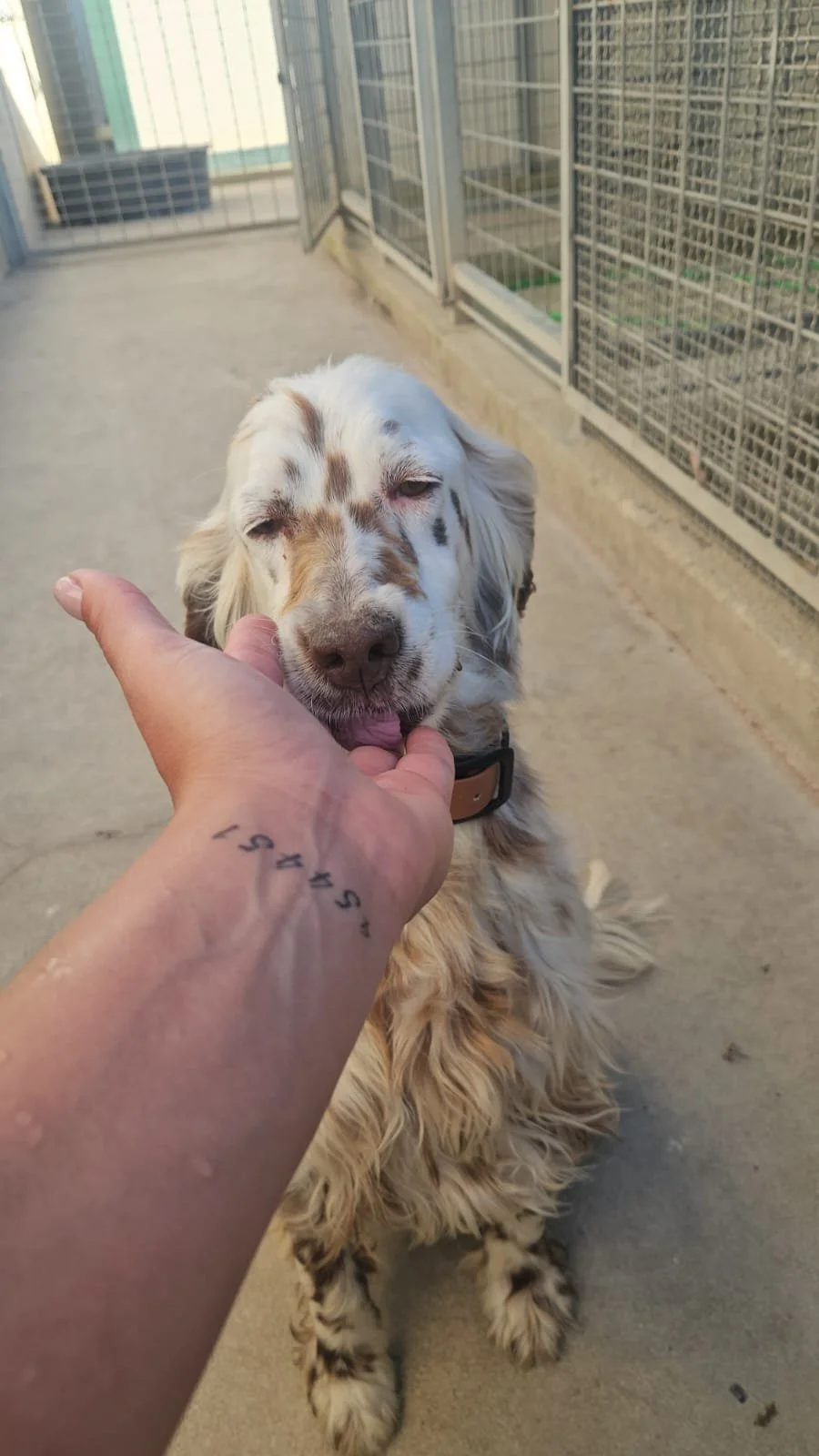 PHOTO-2026-04-27-18-32-12 2.jpg