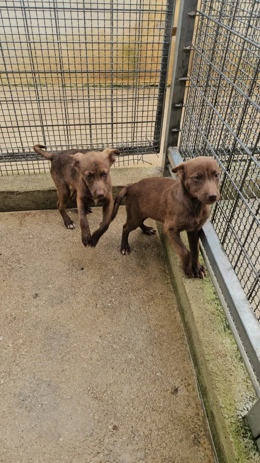 PHOTO-2026-04-09-09-44-51 4.jpg