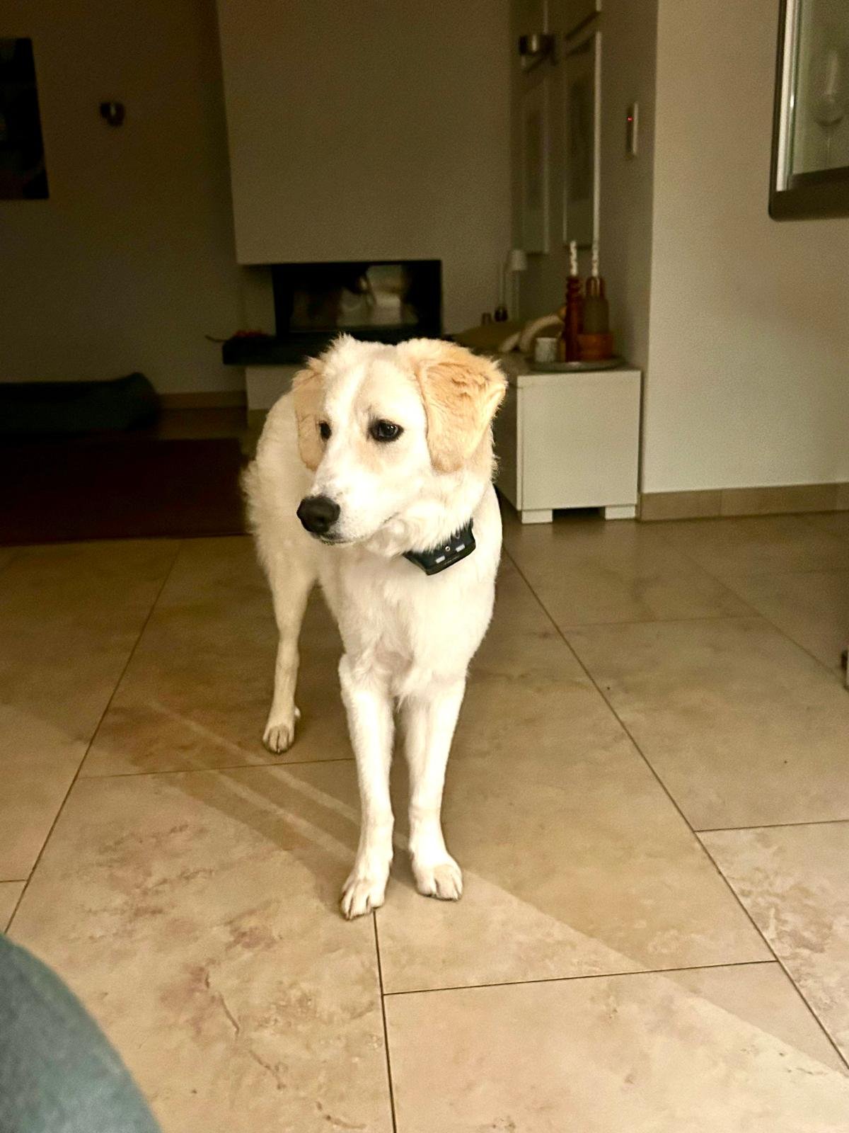 PHOTO-2025-12-15-11-44-24 3.jpg