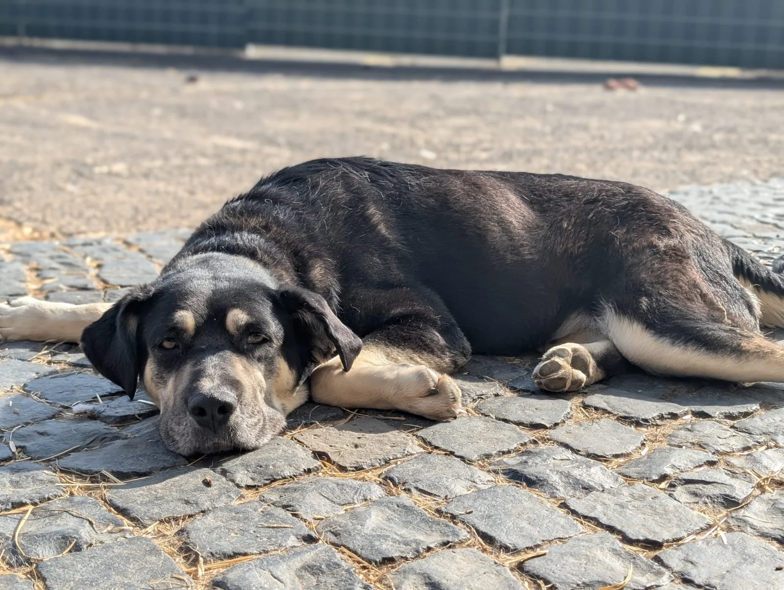 PHOTO-2026-04-14-09-43-41 2.jpg