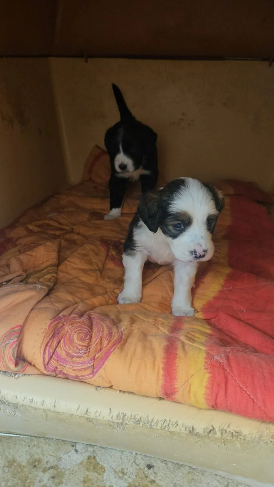 PHOTO-2026-04-27-20-54-26 2.jpg