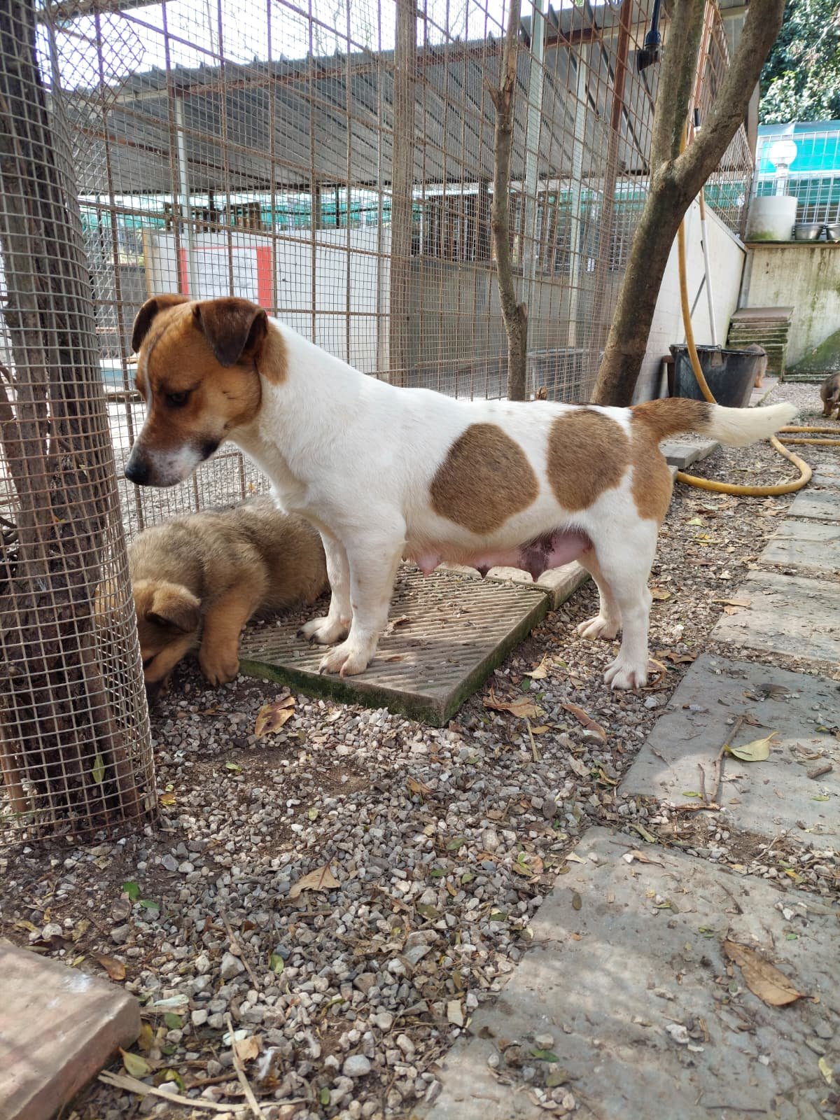 PHOTO-2026-03-11-14-28-49 3.jpg