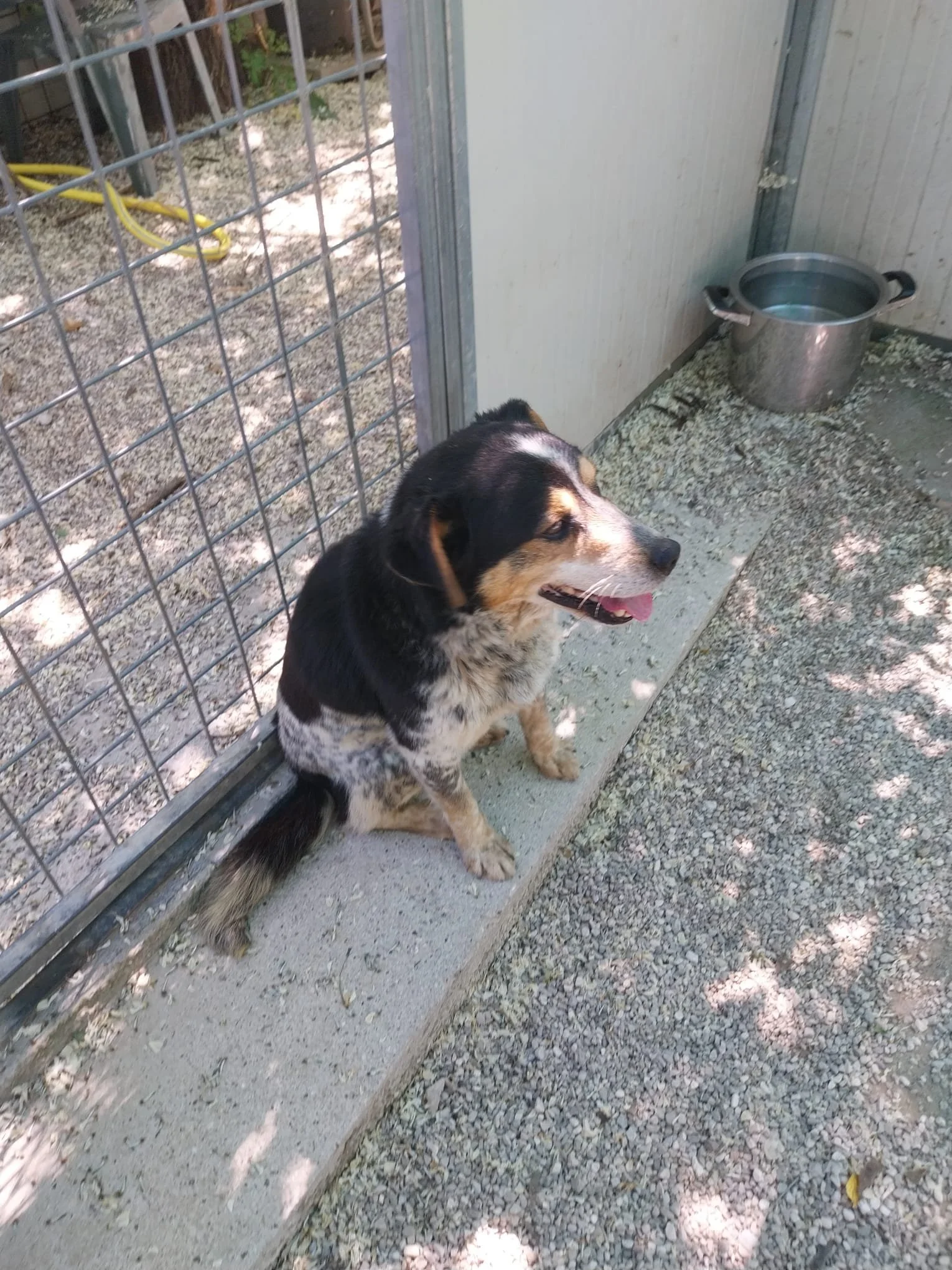 PHOTO-2026-04-28-13-14-25 2.jpg