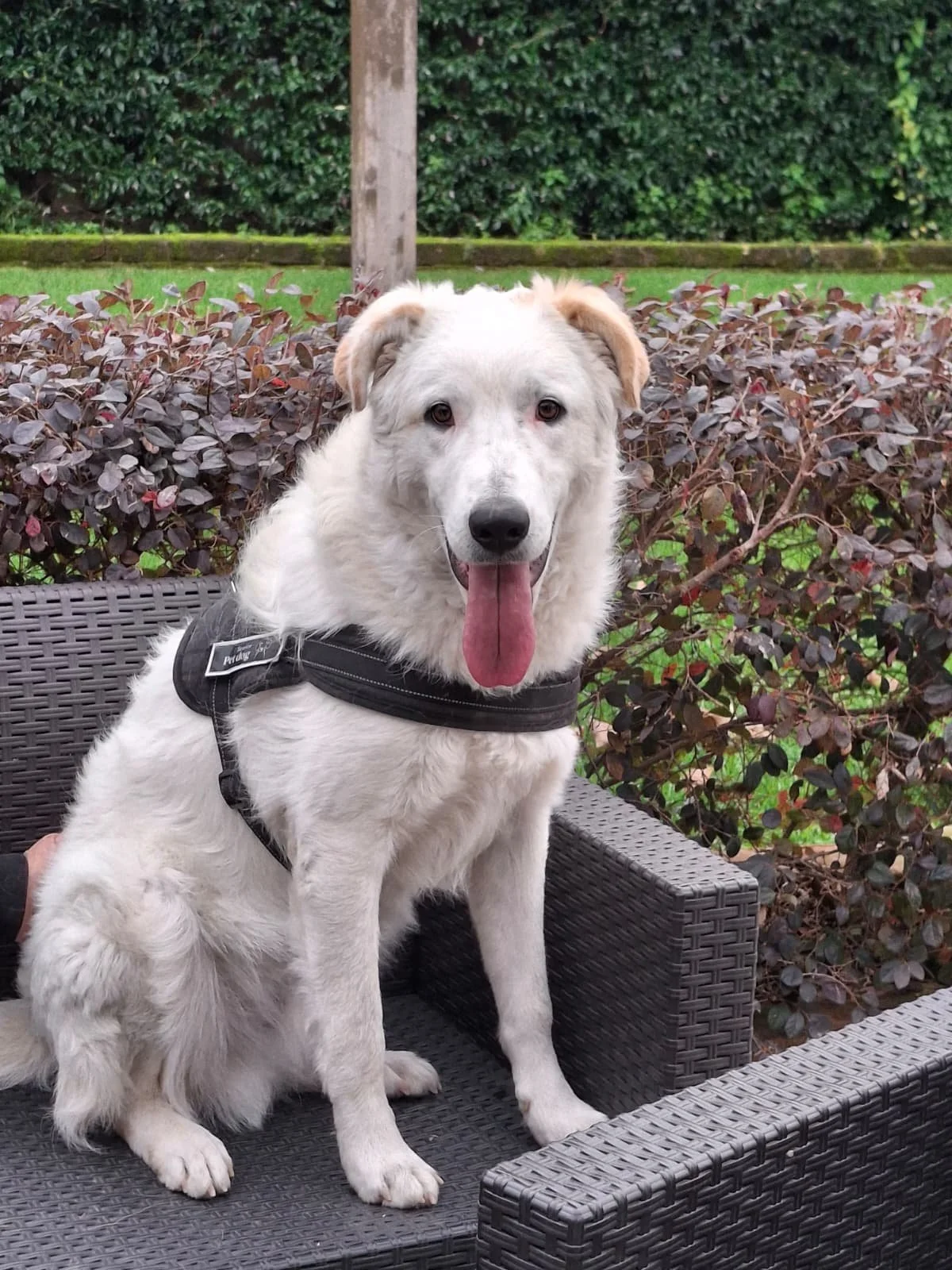 PHOTO-2026-01-07-15-24-11 5.jpg