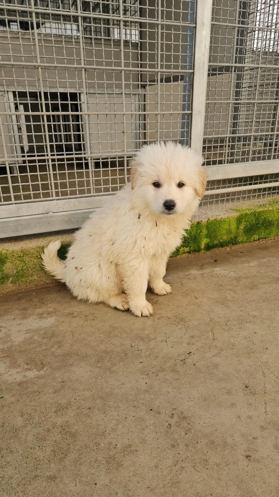 PHOTO-2025-12-10-12-27-09 2.jpg