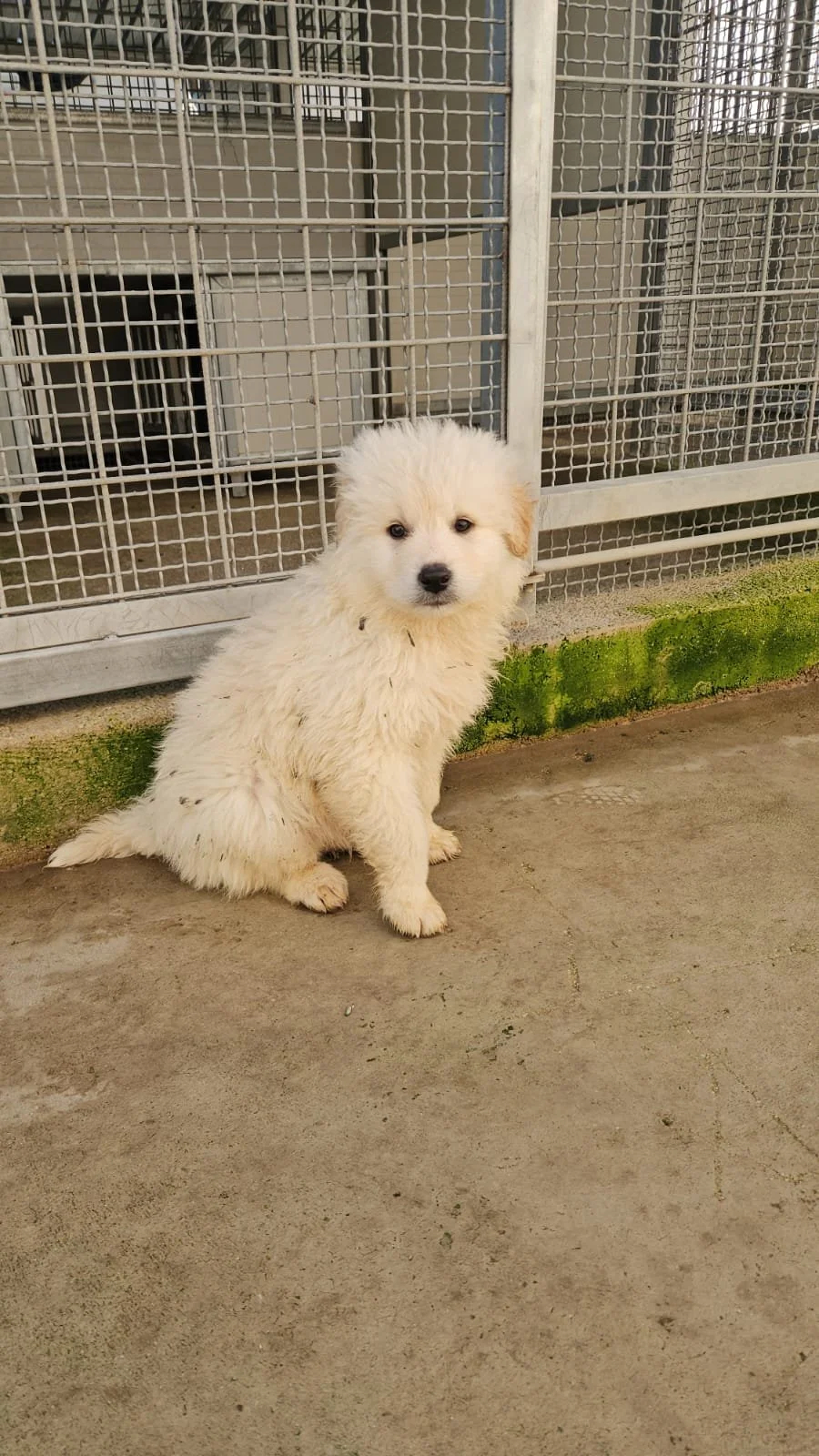 PHOTO-2025-12-10-12-27-09 3.jpg