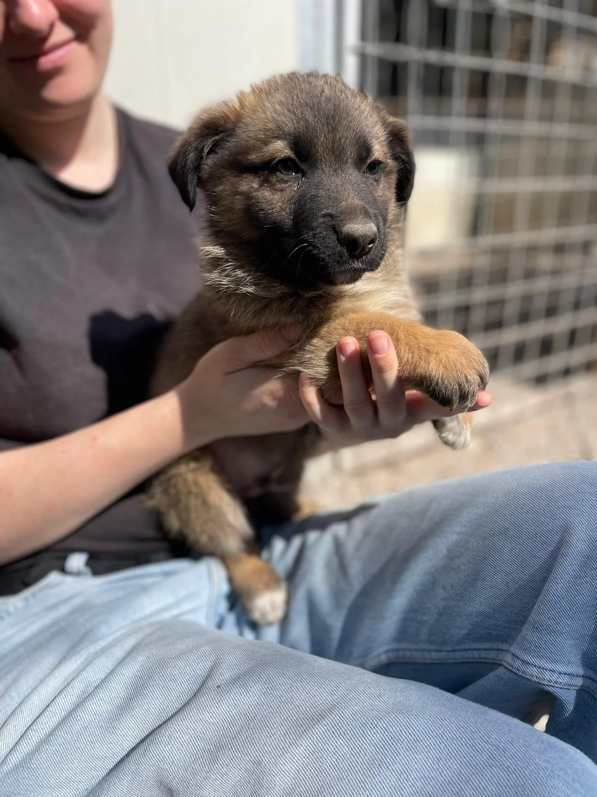 PHOTO-2026-03-11-14-17-06 2.jpg